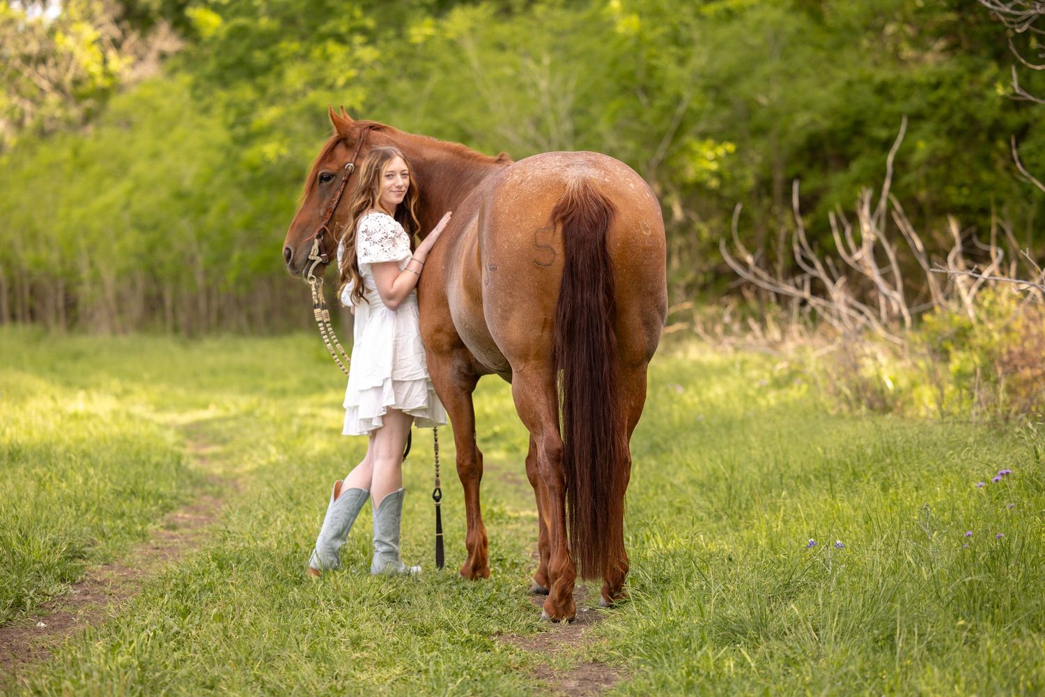 A red roan horse stands in a sunny meadow with someone in a white dress next to it on a summer afternoon.