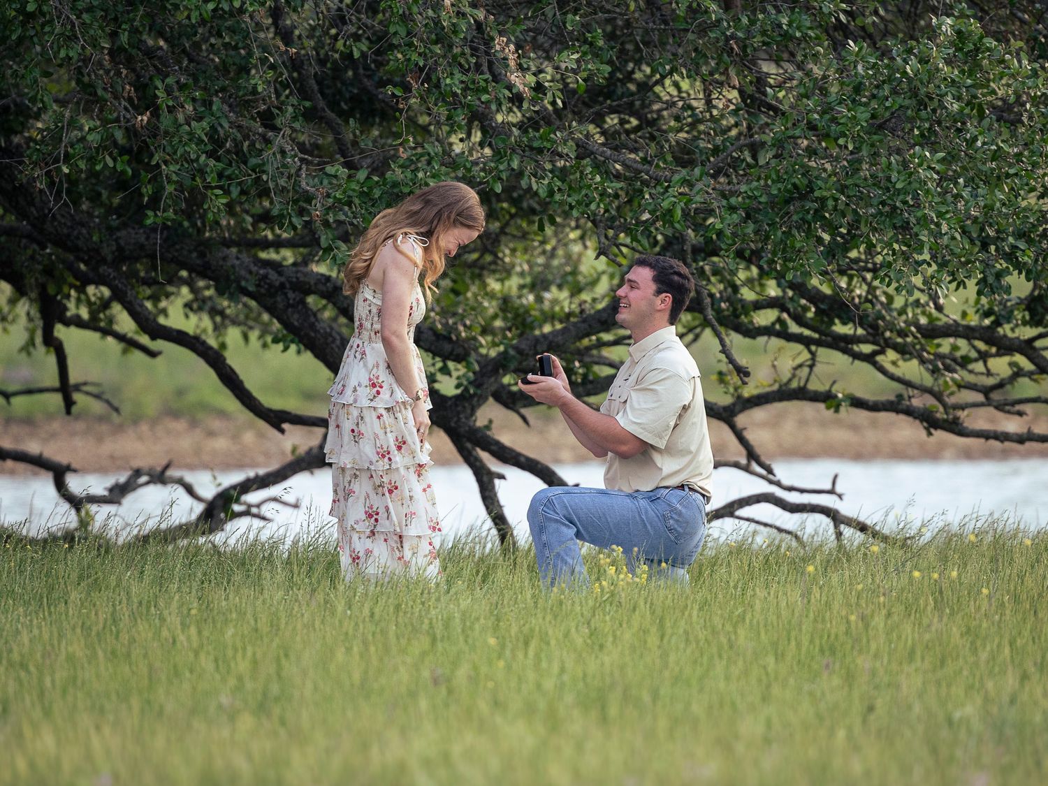 A romantic proposal scene unfolds on a grassy hillside under twisted tree branches near water on a sunny day.