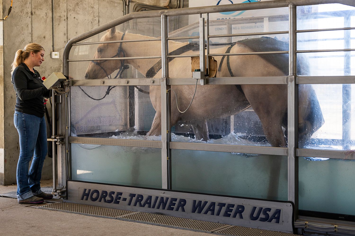 Person watching a horse on an aqua treadmill