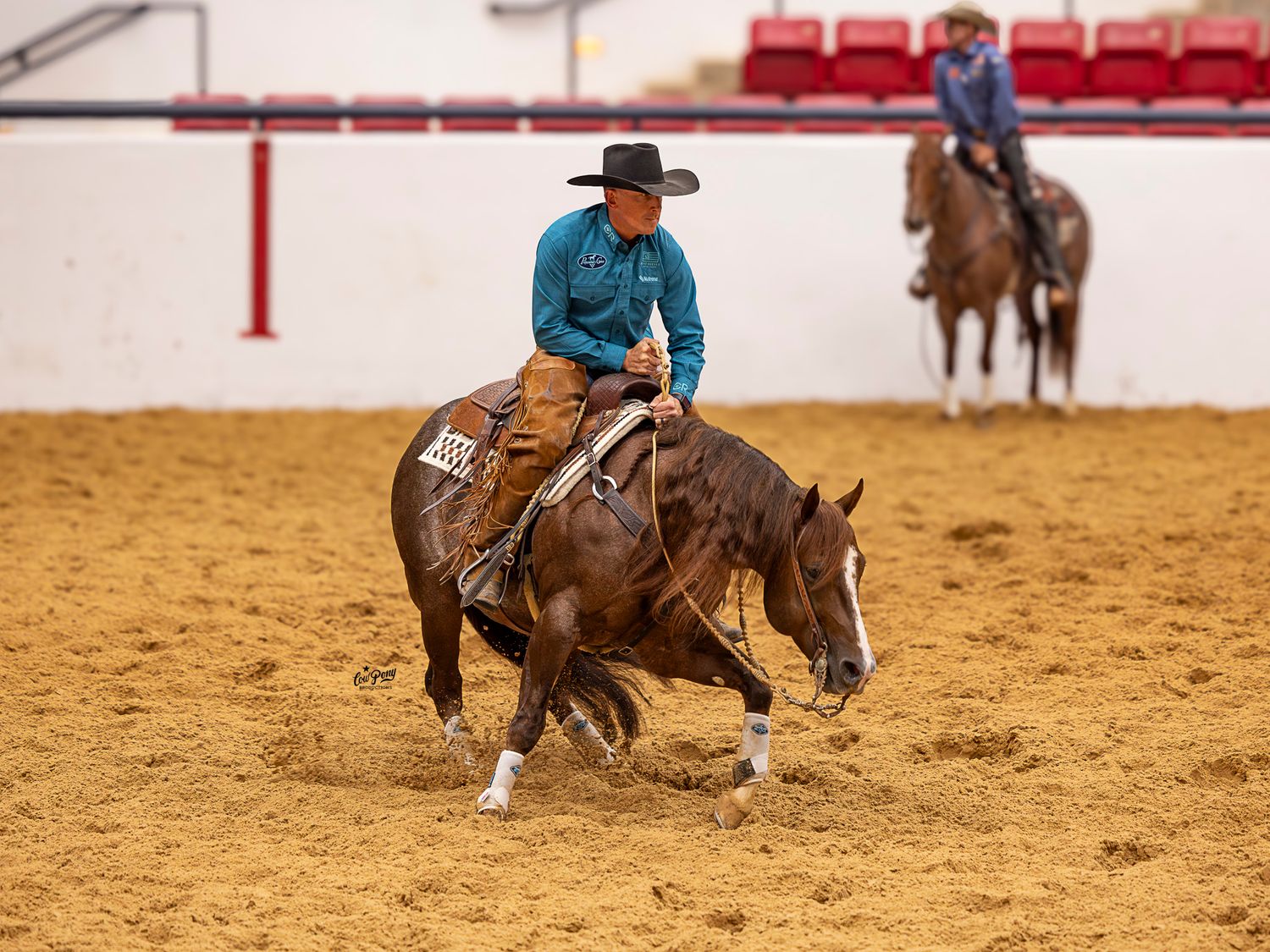 A rider dressed in blue competes in a cutting competition on a sorrel horse in the Watt Arena.