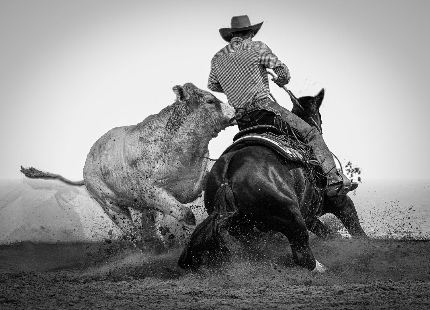 a black and white image of a cowboy turning a fast moving cow with dirt flying