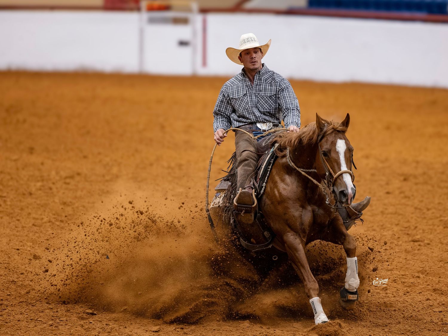 Rider performing a sliding stop at a cow horse show in Fort Worth, Texas