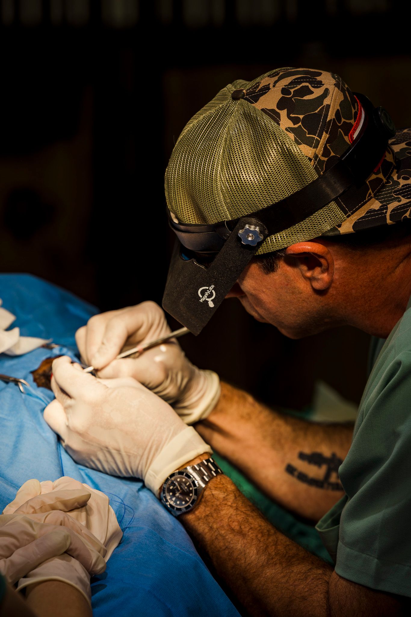 Veterinary Professional performing surgery on a horses eye under focused lighting in an operating room.