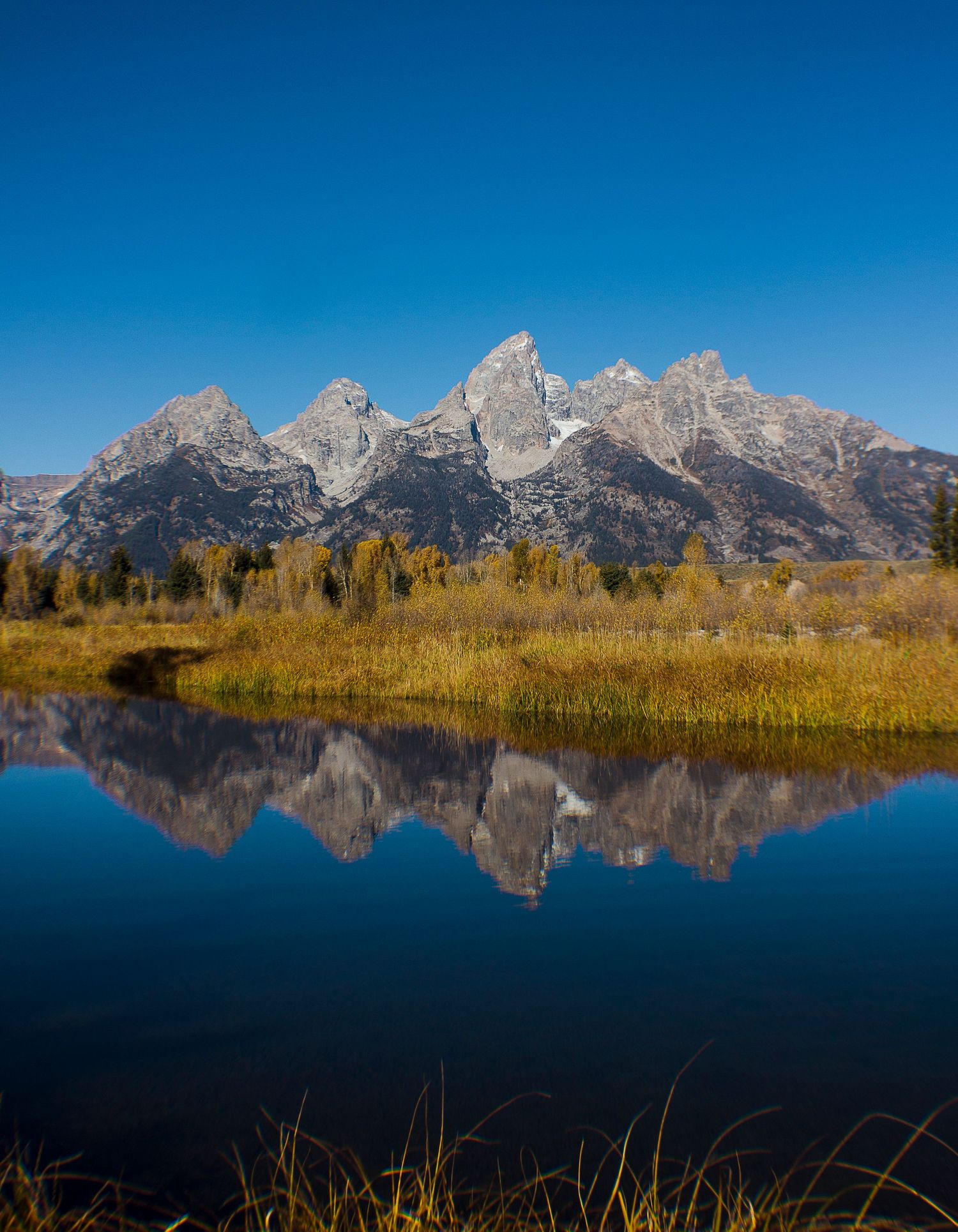 The Tetons reflecting over the water