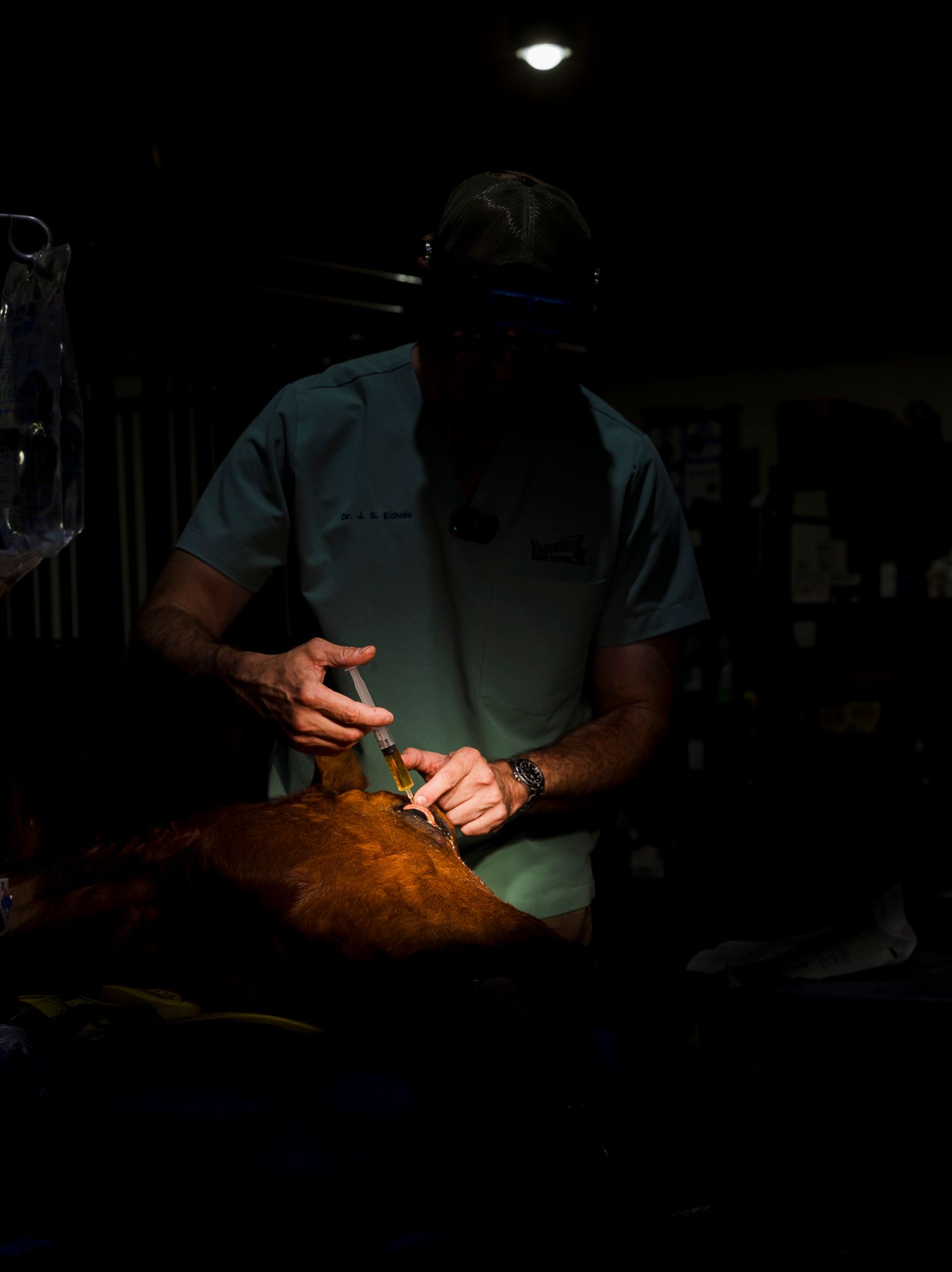 Veterinary Professional performing surgery on a horses eye under focused lighting in an operating room.
