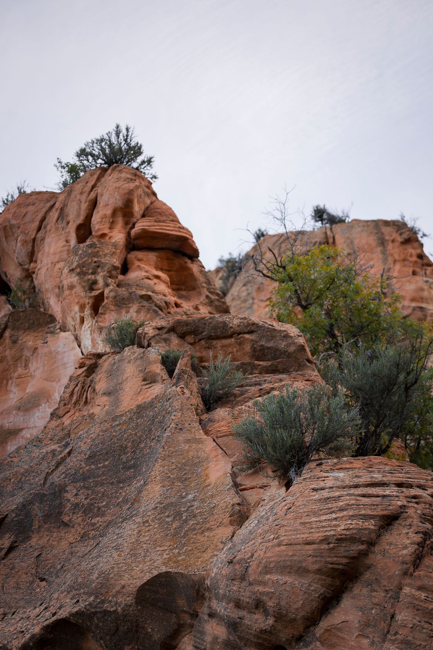 Red Ledges in Utah