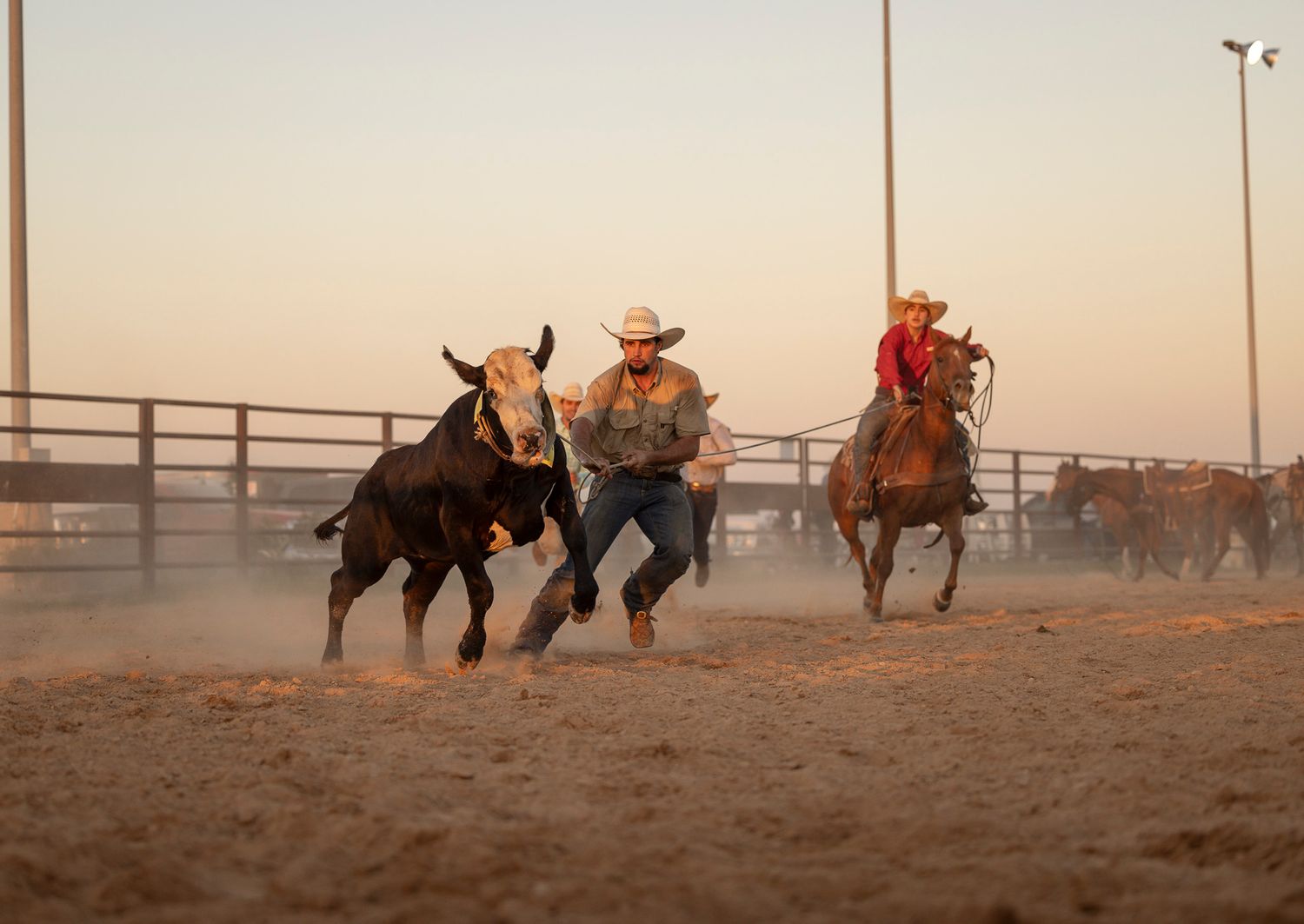 cowboys wrangling cattle at the Top Hand Cowboy Church Ranch Rodeo