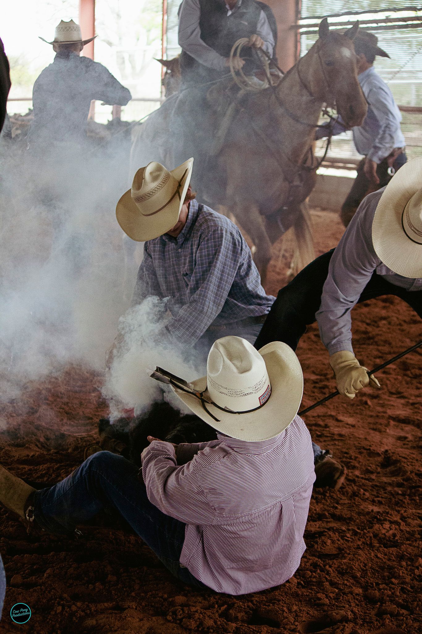 Cowboys in cowboy hats branding cattle with horse and riders visible in background through the smoke and dust.