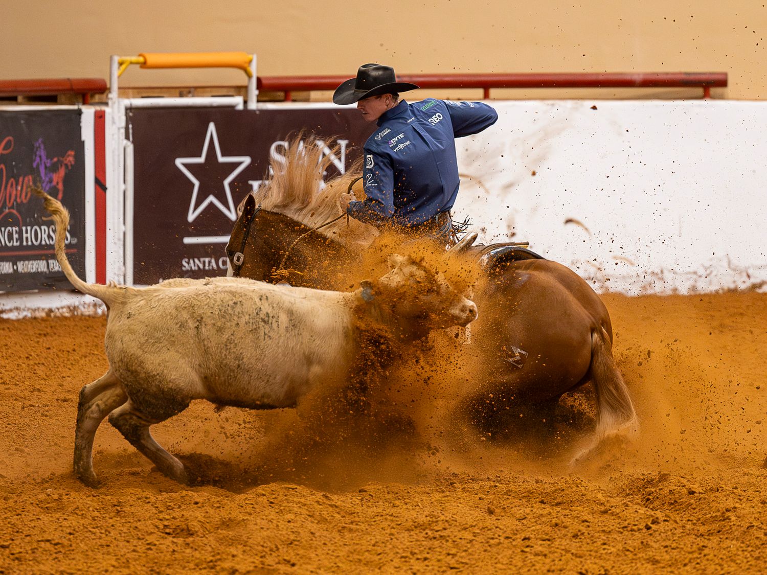 A cow horse makes a fence turn kicking lots of dust up over the cow in the John Justin arena at the SRCHA Wild Rag in Fort Worth Texas