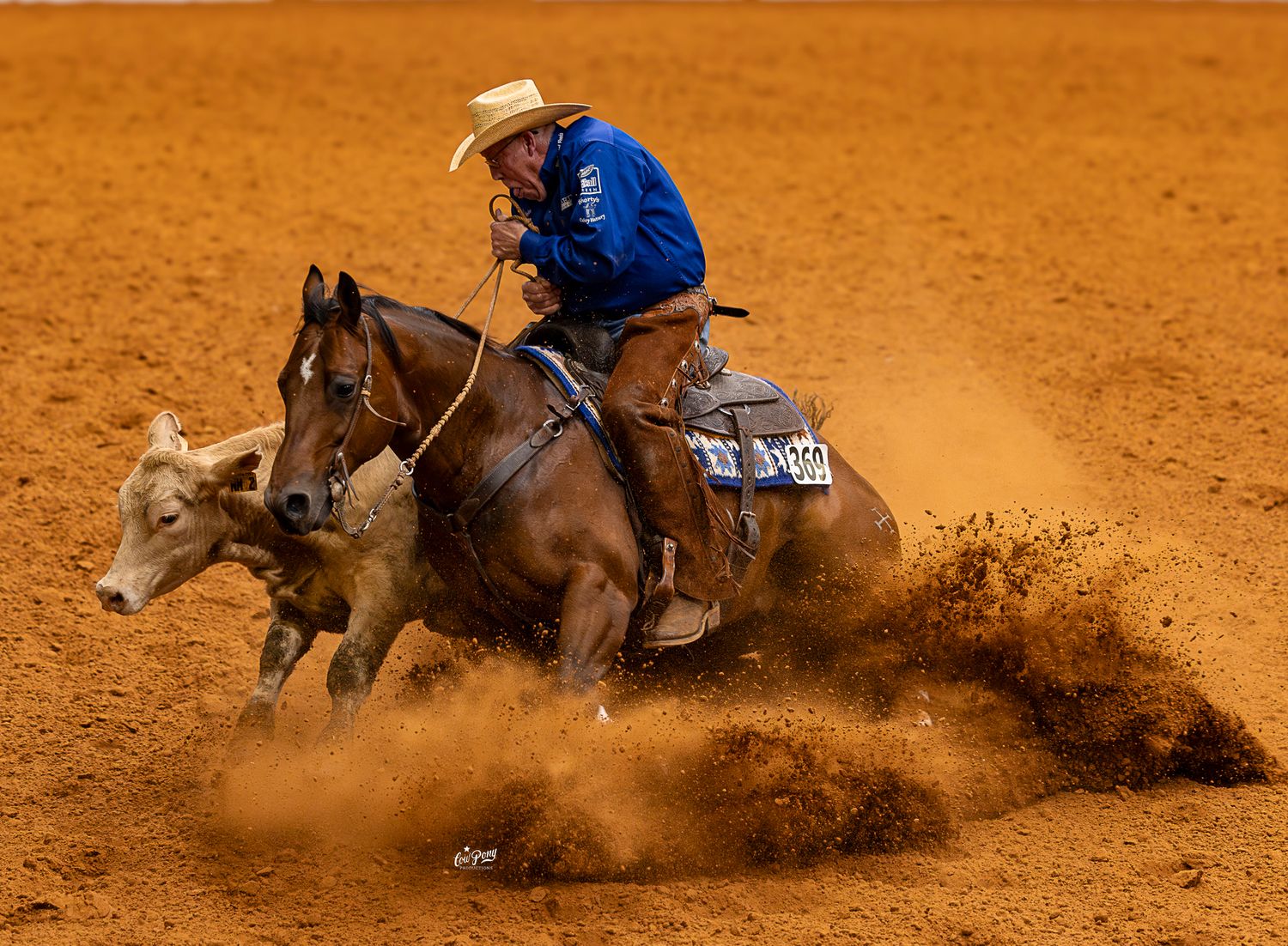 Cowboy rides horseback while turning a steer in dramatic cloud of orange dirt during cow horse show.