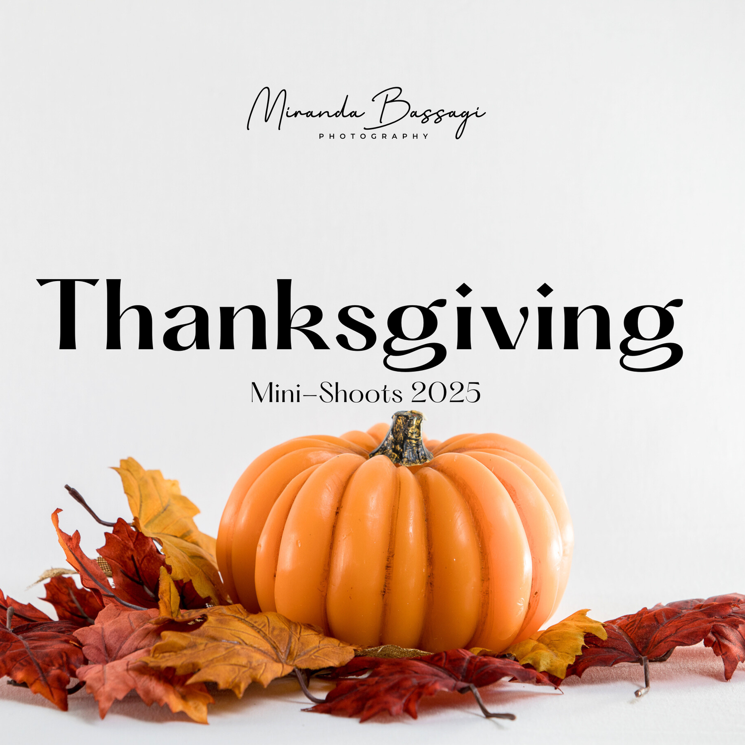 Thanksgiving mini photo session advertisement with pumpkin and fall leaves.