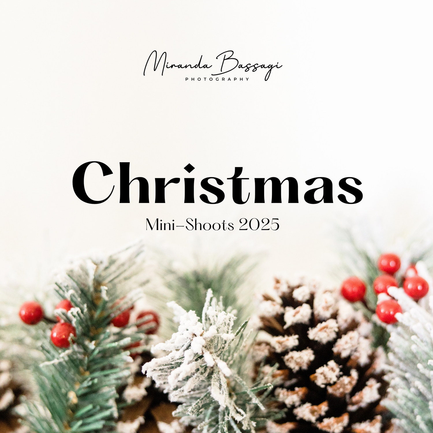 Christmas mini photo session advertisement with frosted pine cones and holiday greenery.