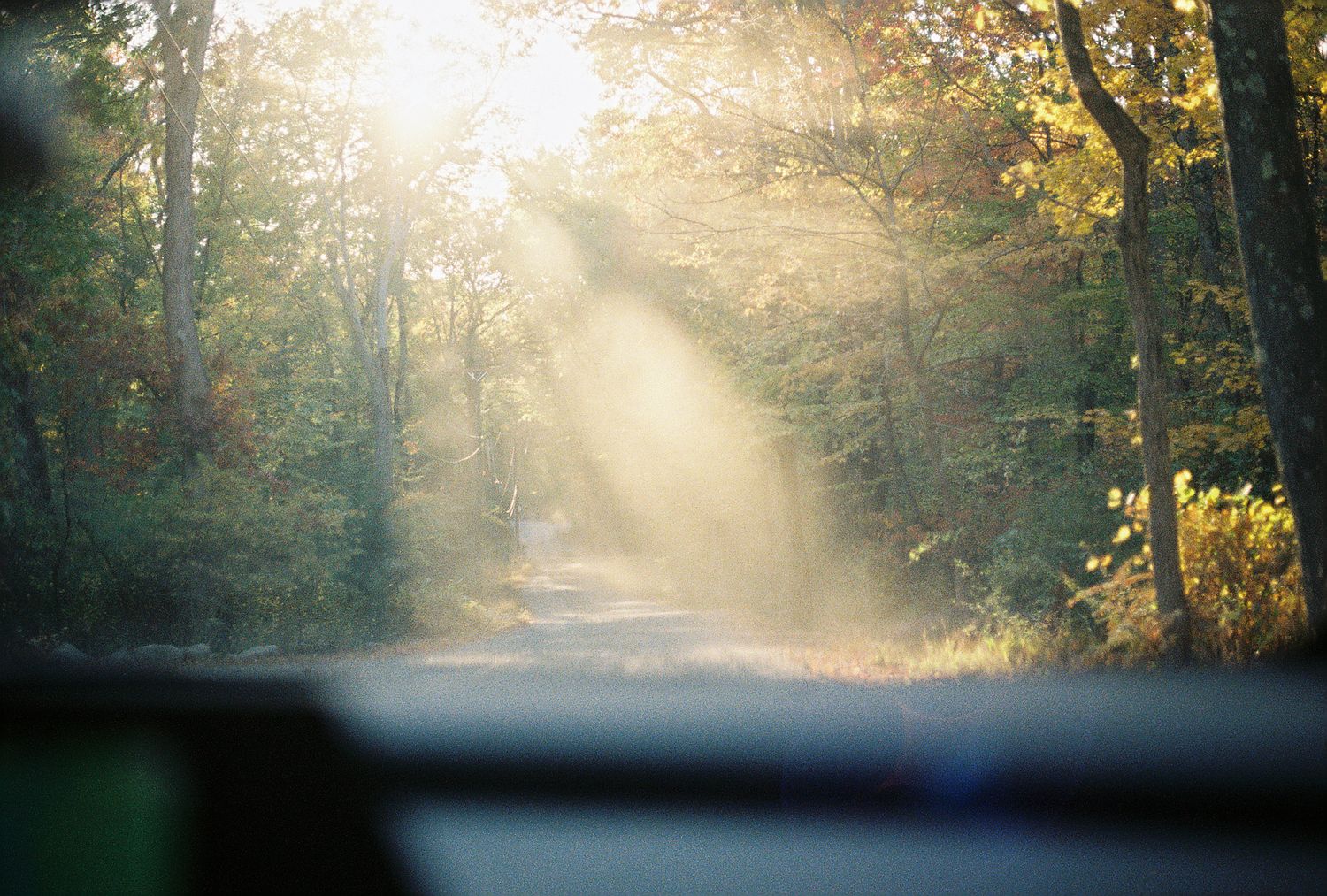 Sunbeams filtering through autumn forest trees onto a dirt road viewed from inside a car.