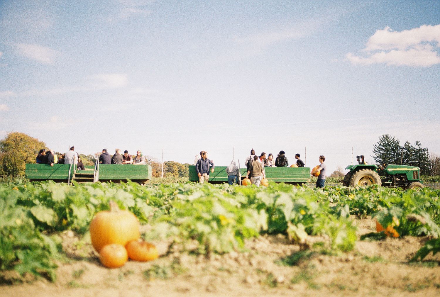 People riding a green farm wagon through a pumpkin patch on a sunny autumn day.