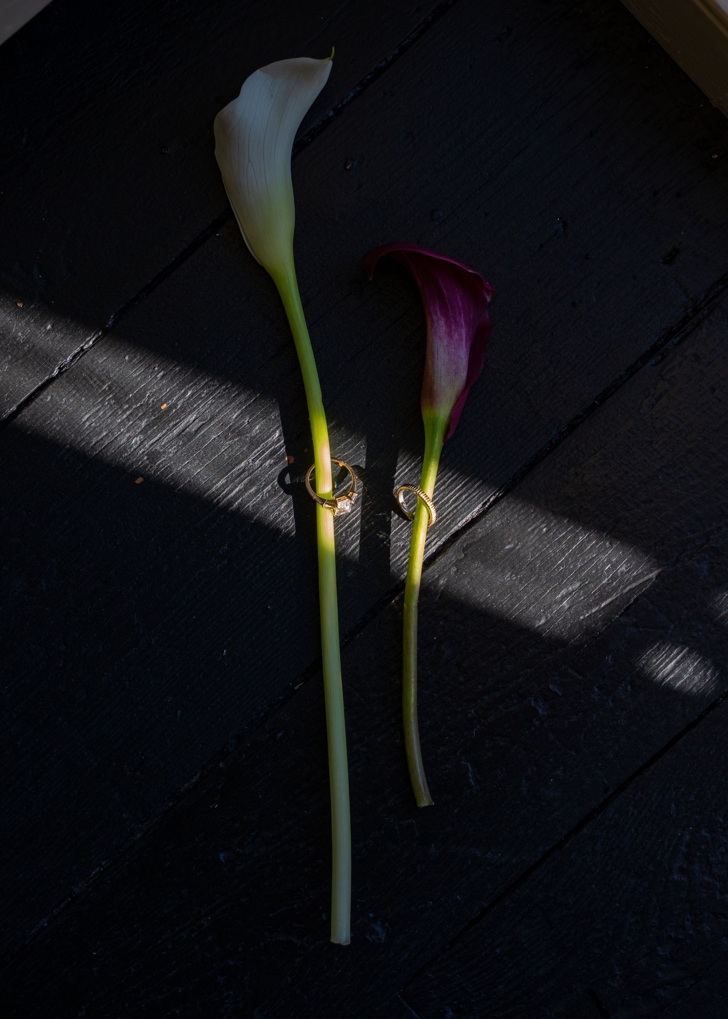 Two calla lilies with gold wedding rings on a dark wooden surface in dramatic lighting.