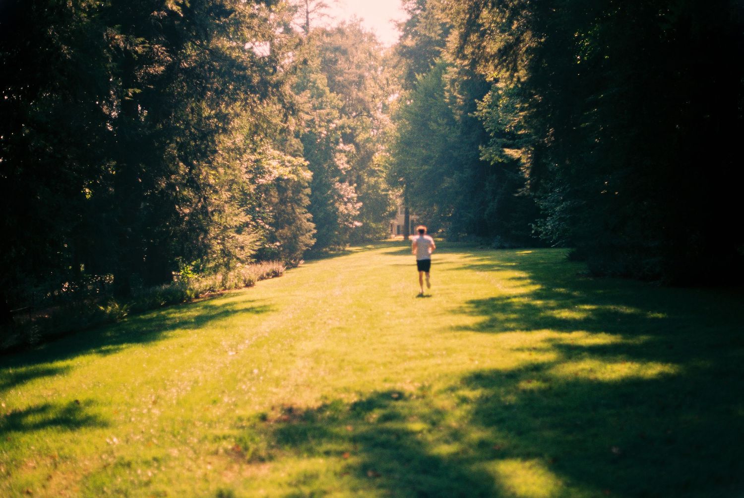 Person walking along sunlit green grass path through dense forest trees in summer.