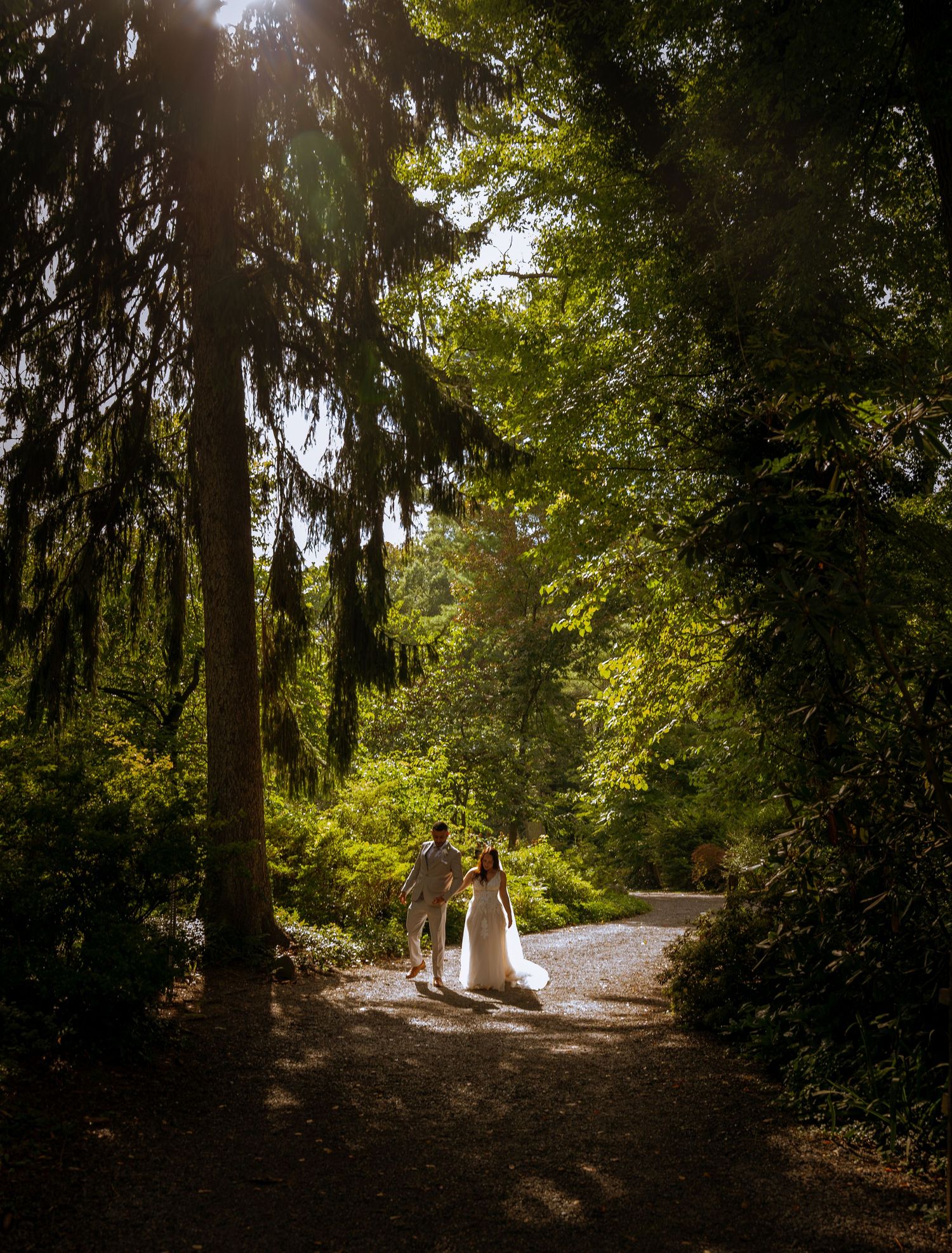 Bride and groom walking hand in hand along a sunlit forest path surrounded by tall trees.