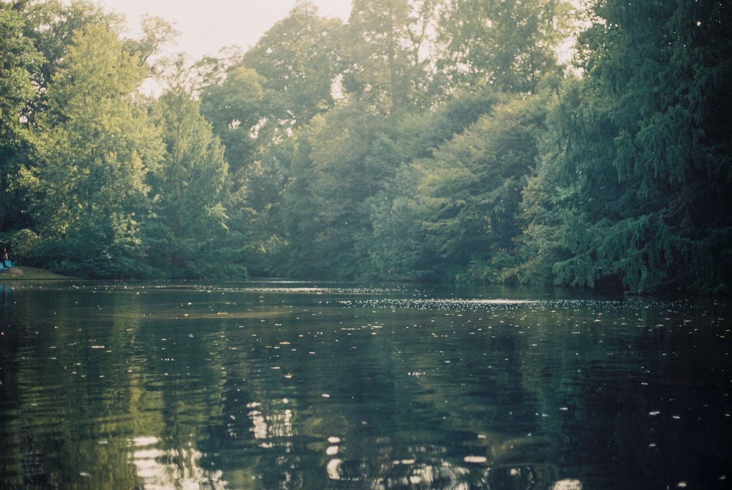 Tranquil tree-lined river reflecting lush green forest canopy on calm summer day.