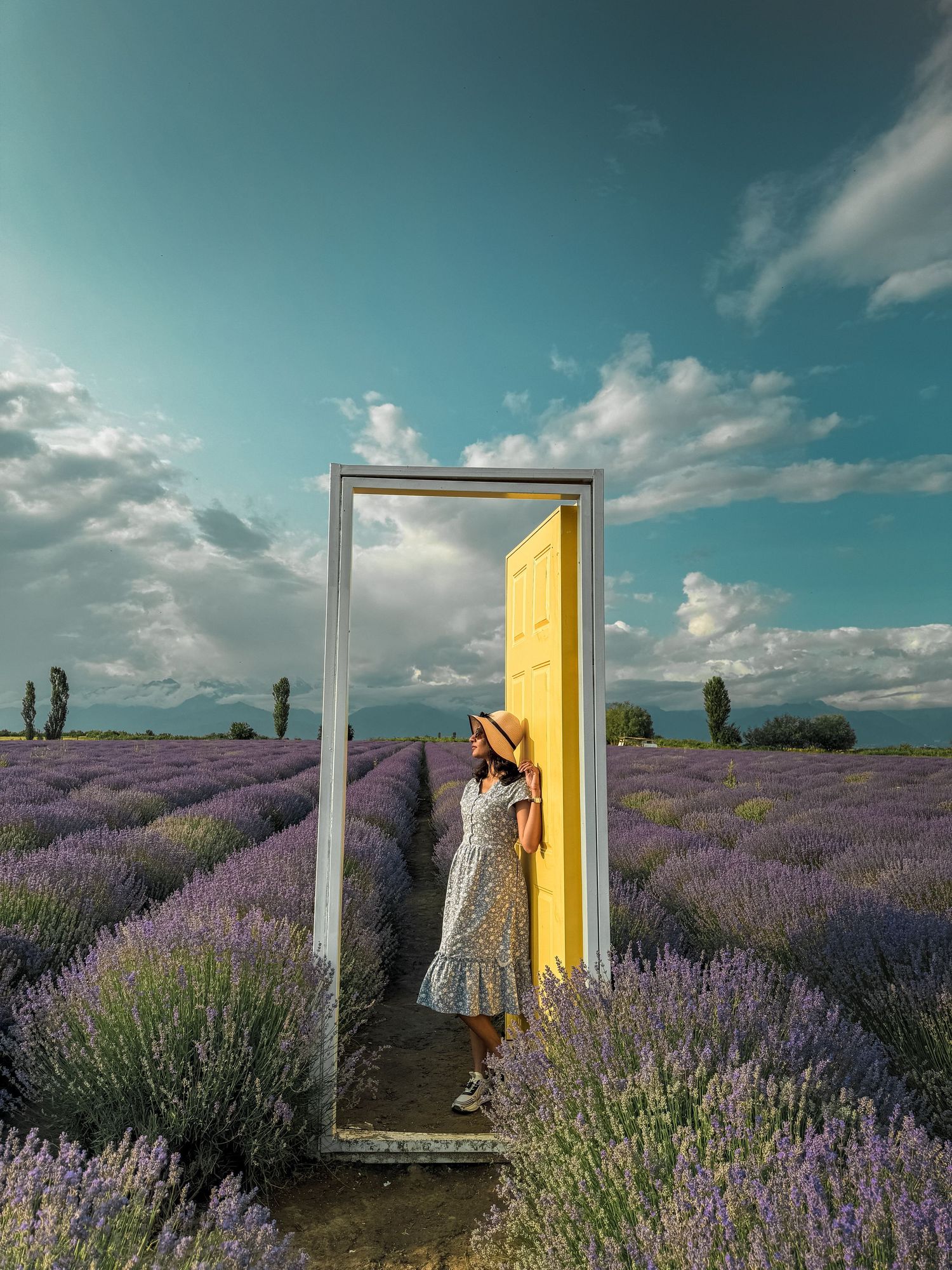 Yellow door frame stands in a vibrant purple lavender field under blue sky with white clouds.