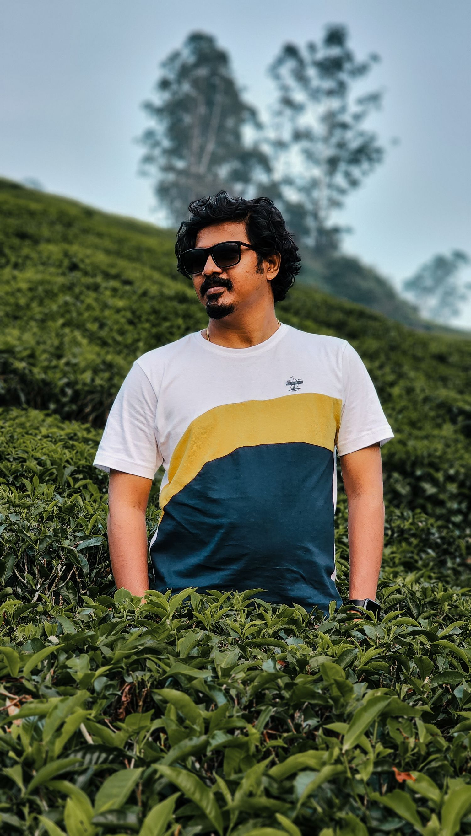 Person in sunglasses and color-block t-shirt posing among lush tea plantations.
