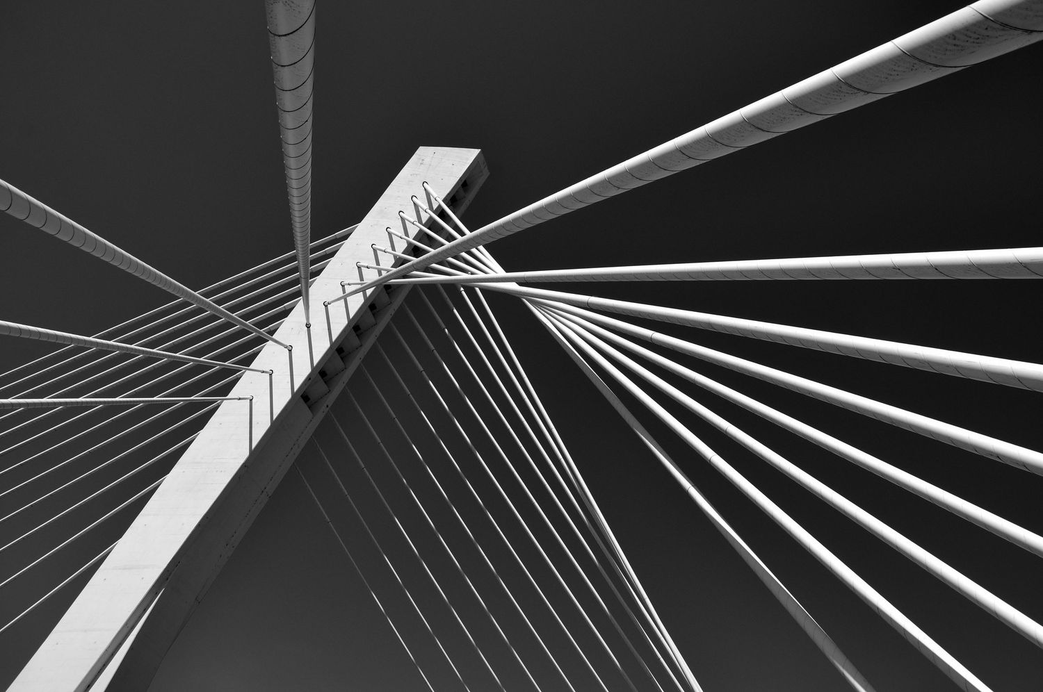 Abstract black and white architectural photography of bridge cables and supports.