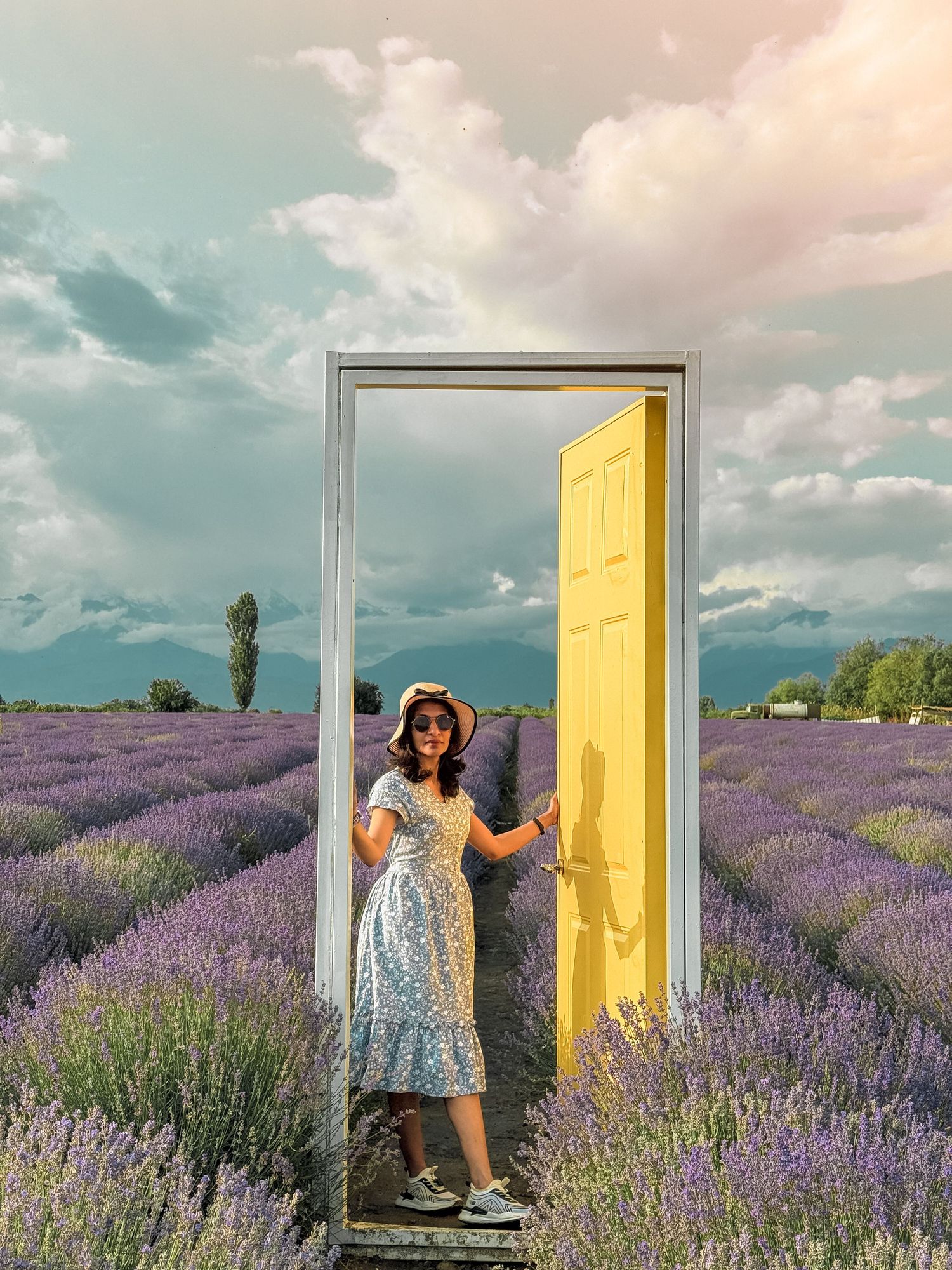 Yellow door frame installation in lavender field with mountain backdrop.
