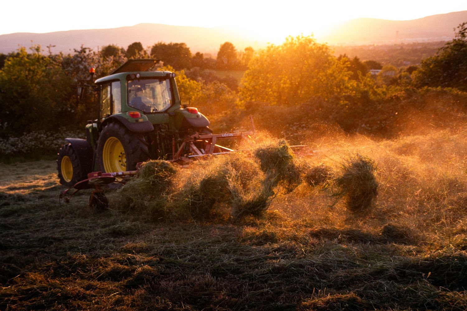 Tractor turning hay in the sunset