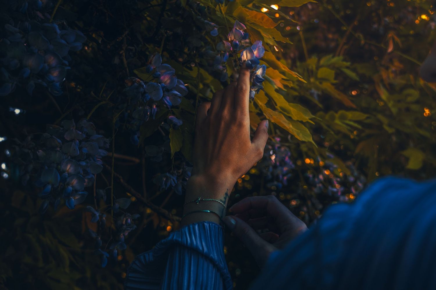 Autumn foliage glows with golden bokeh lights in evening darkness.