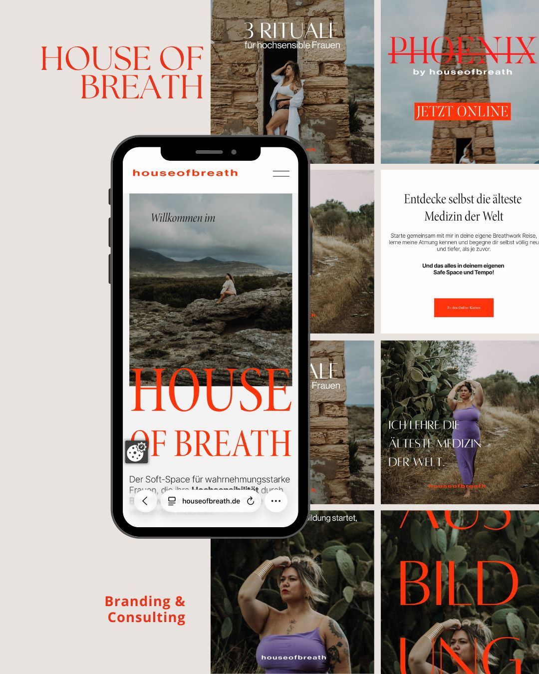 Collection of book cover designs and promotional materials featuring red text and stone wall backgrounds.