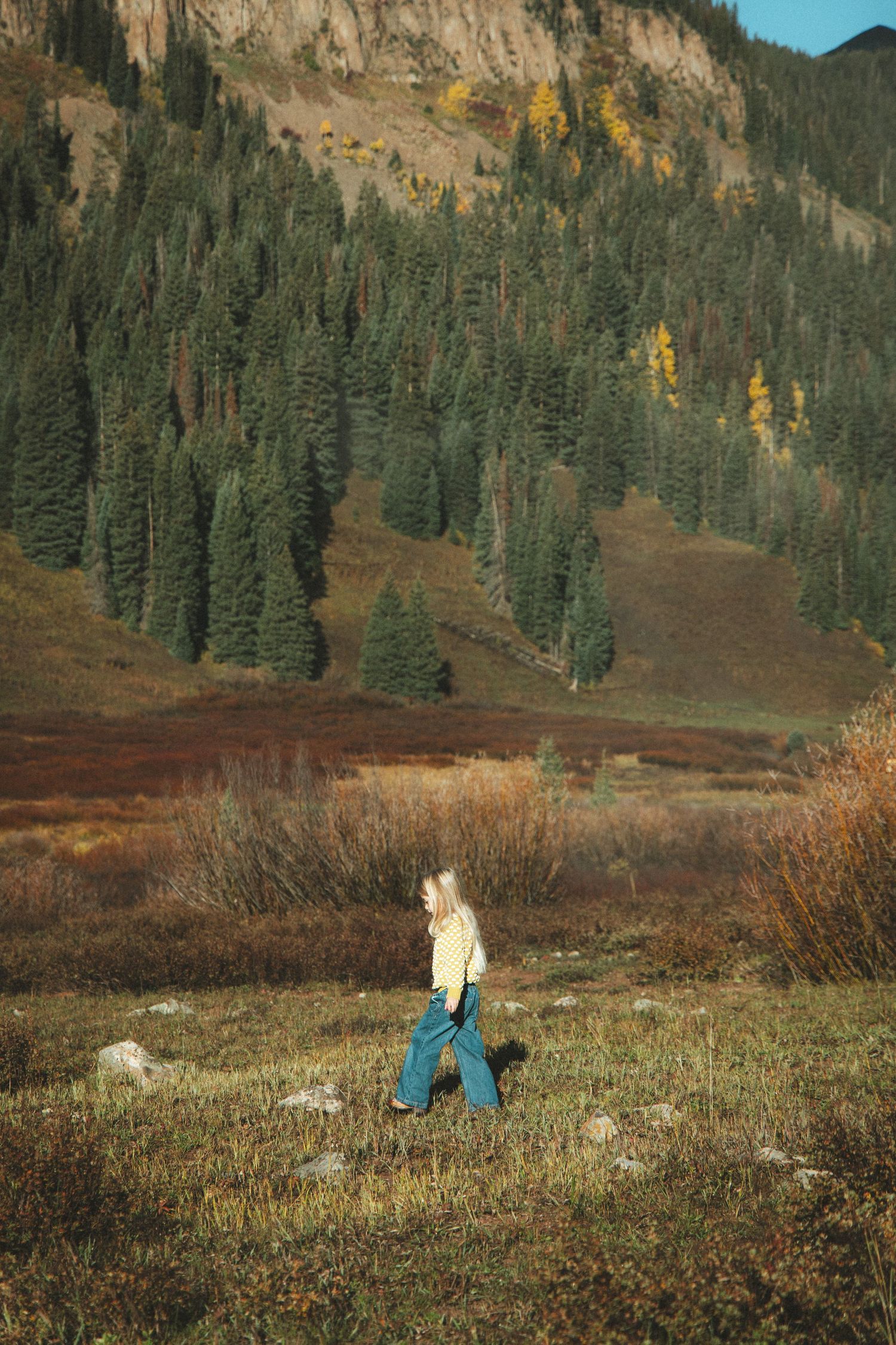 Woman in flared jeans walks through alpine meadow with evergreen forest and autumn foliage on mountain slope behind her.