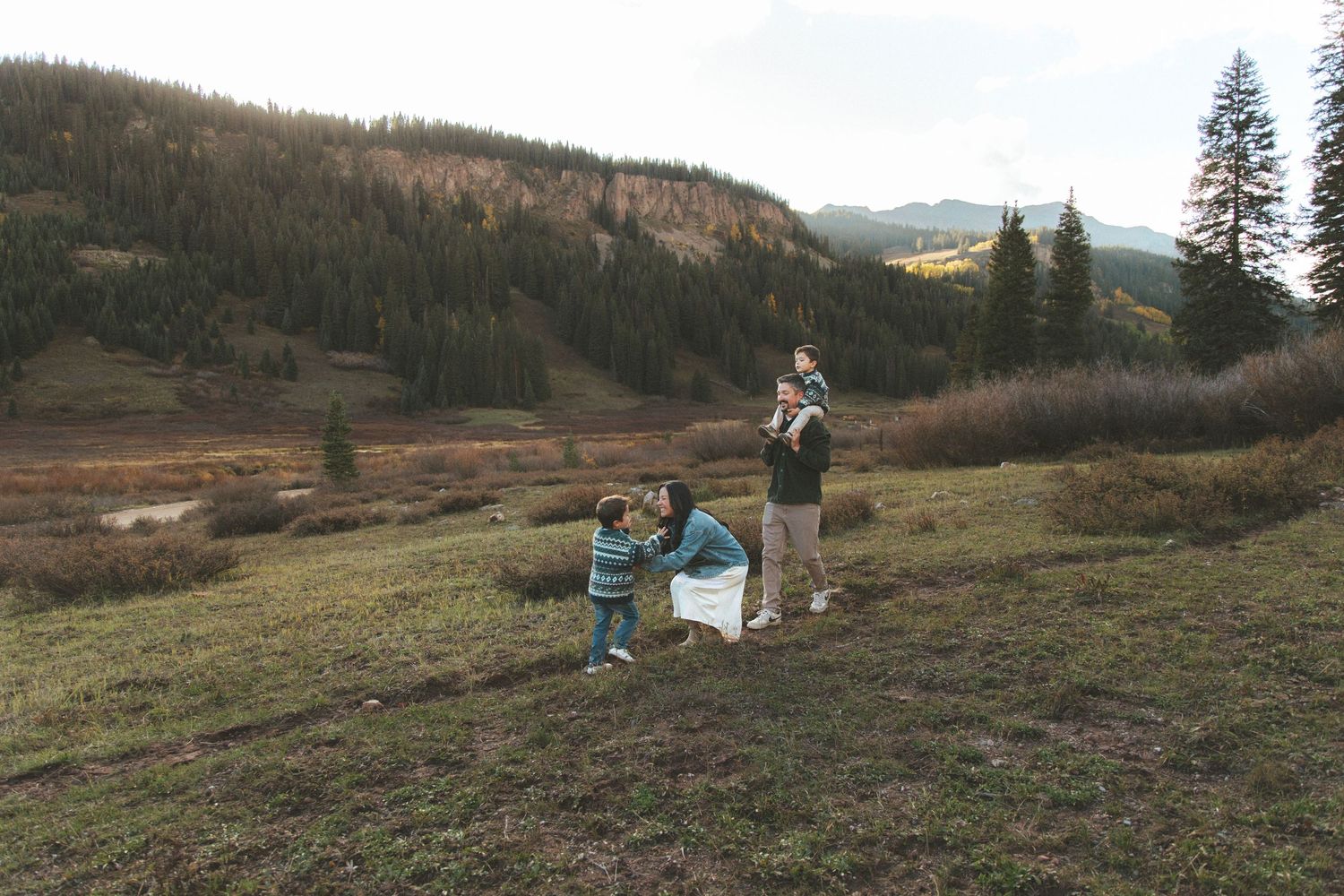 Family enjoying outdoor time in a mountain meadow, with parents playing with two young children amid lush green hills.
