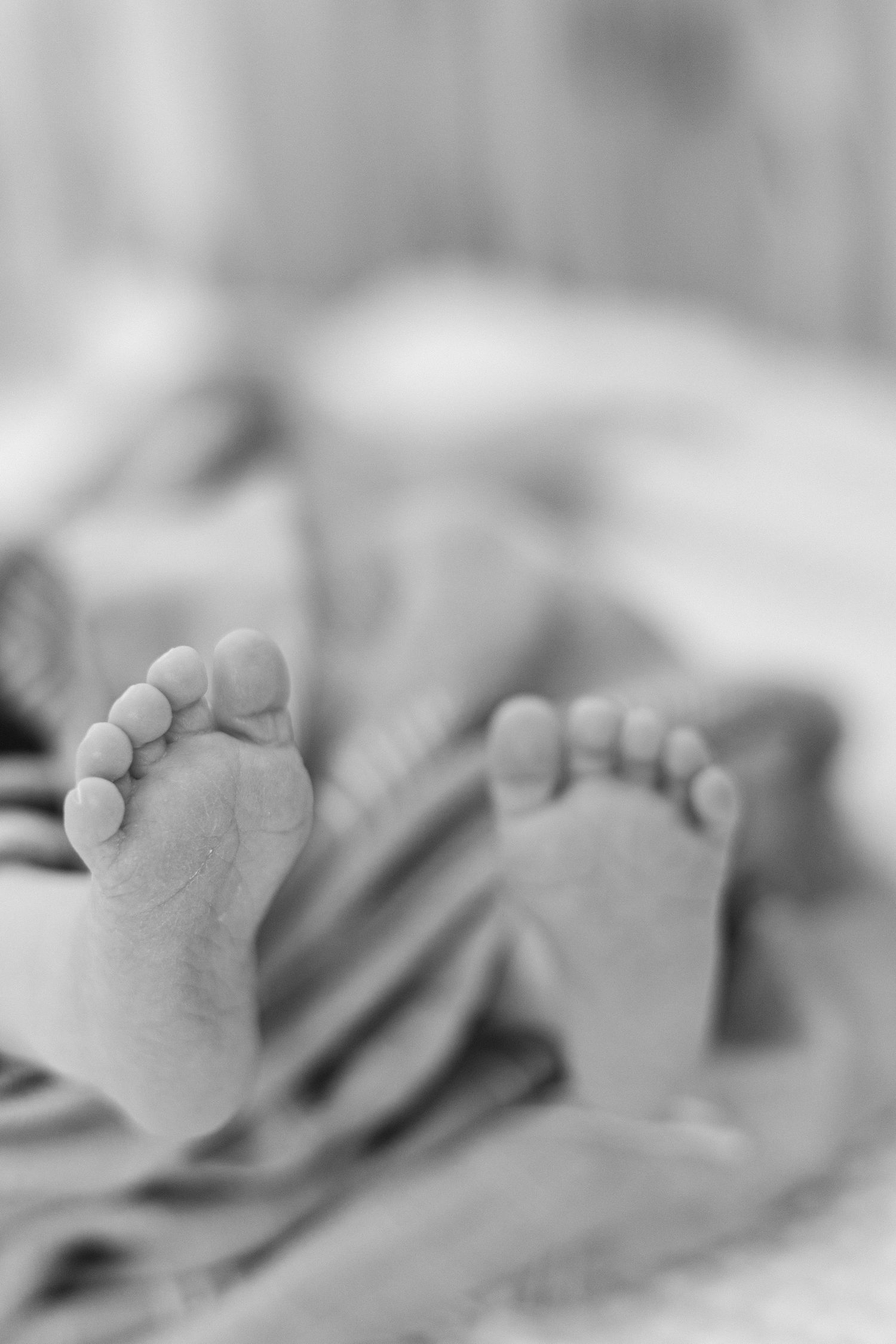 Newborn photography session in Crested Butte, Colorado