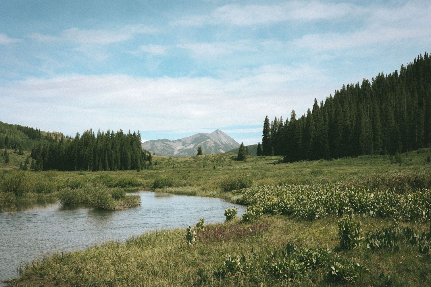 A serene mountain valley with a winding river, lush green meadows, tall pine trees, and snow-capped peaks under a partly cloudy sky.