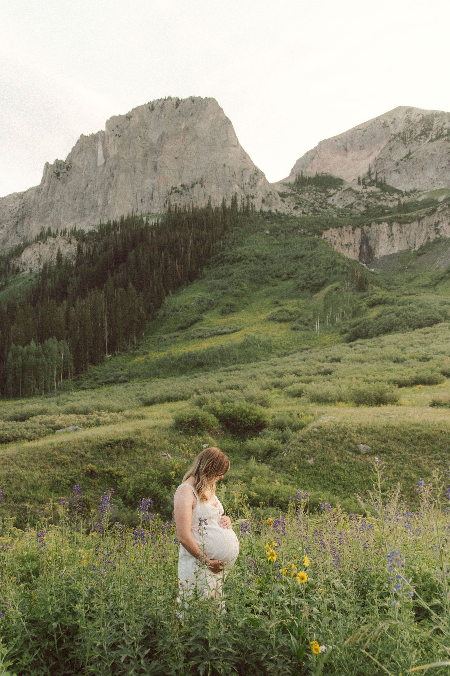 Summer maternity photo with wildflowers crested butte, Colorado