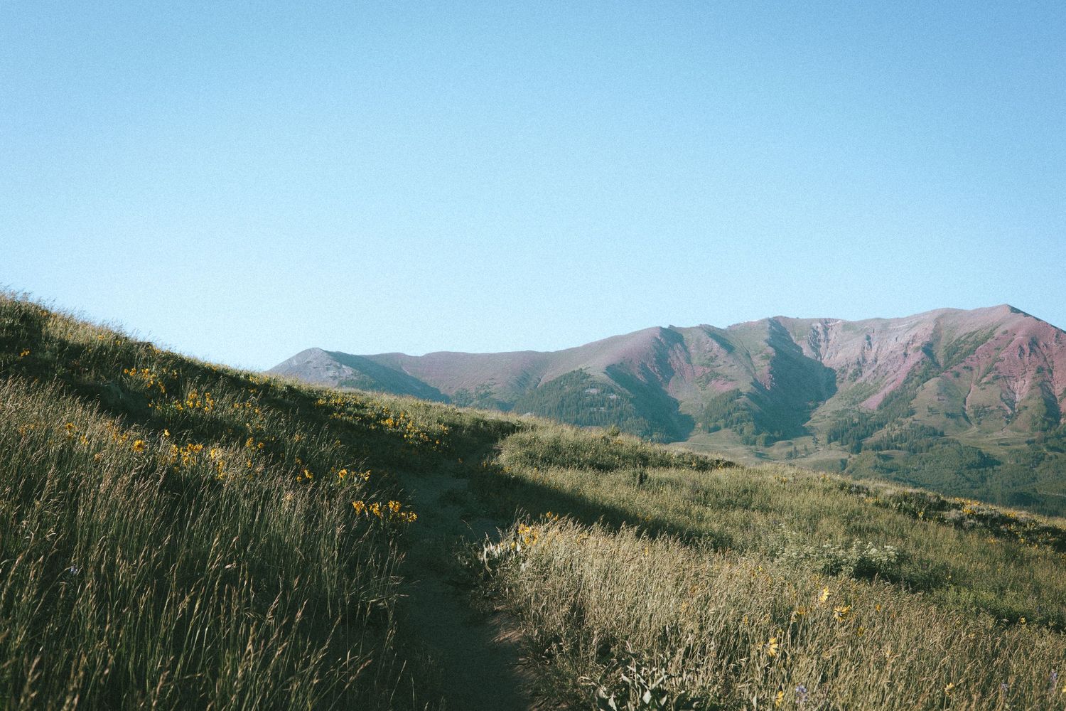 A narrow dirt trail winds through golden grasslands with rugged mountain peaks under a clear blue sky.