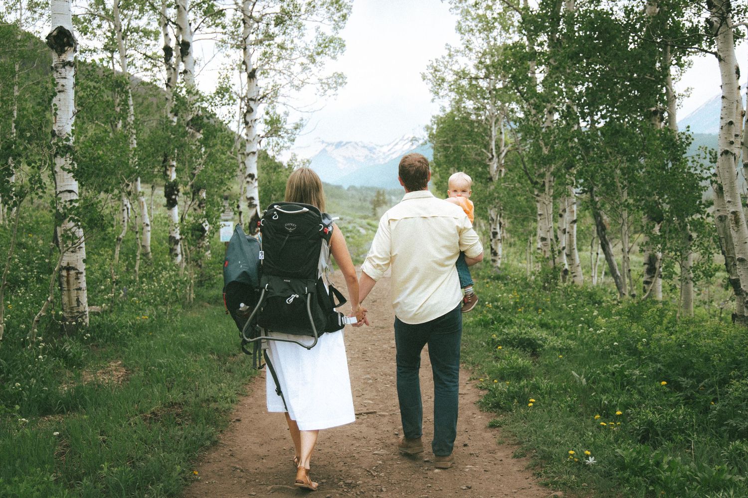 Family hiking on a mountain trail through aspen trees, parents carrying baby on a sunny summer day.