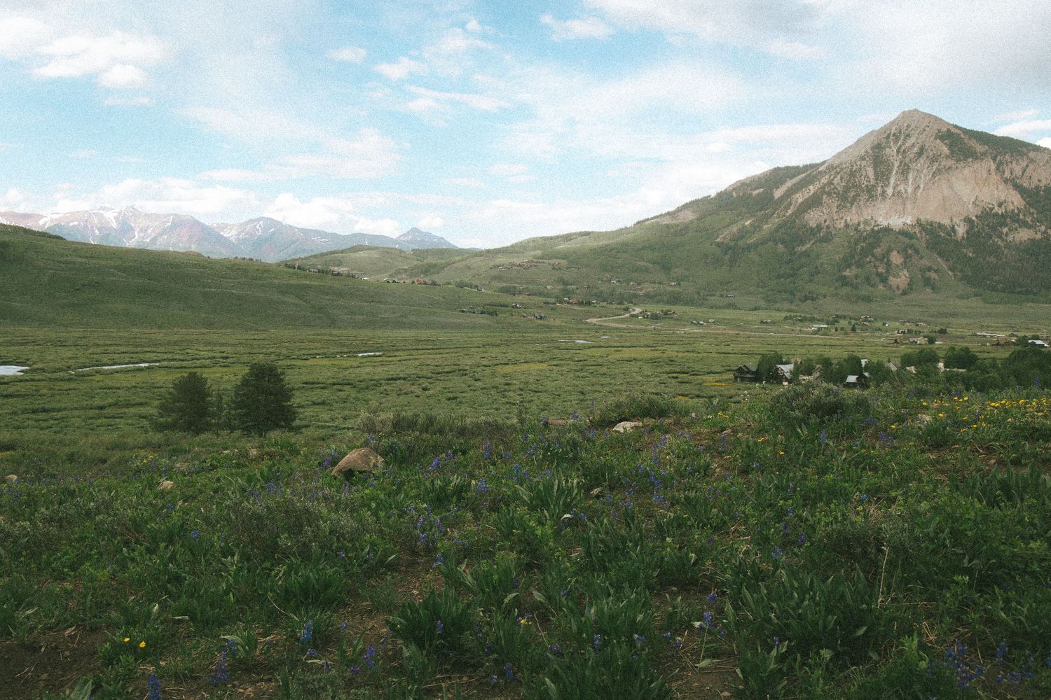 Lush green alpine valley with wildflowers, scattered trees, and a rocky mountain peak under a partly cloudy sky.