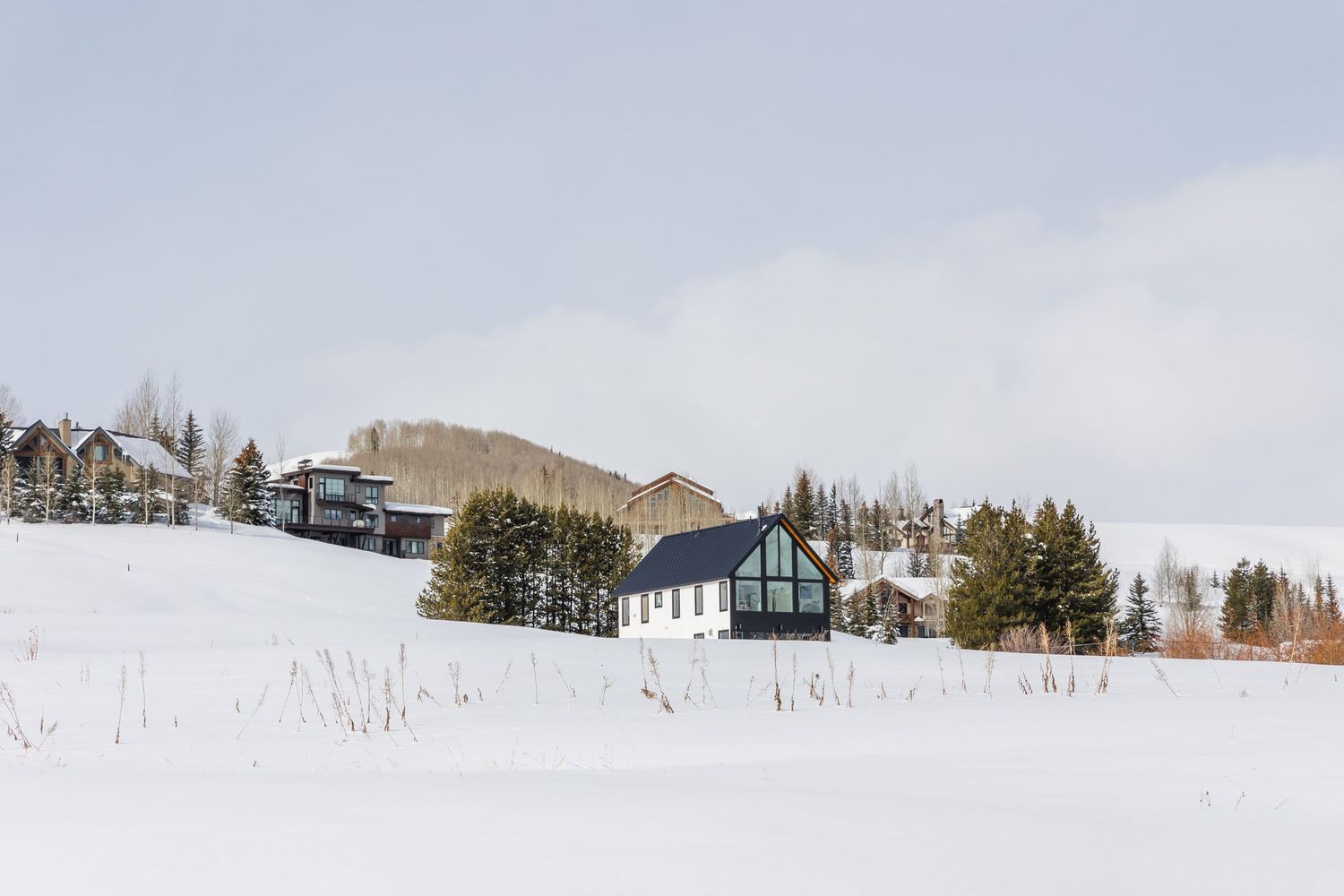 Snow-covered hillside with charming mountain homes and evergreen trees under a cloudy winter sky.