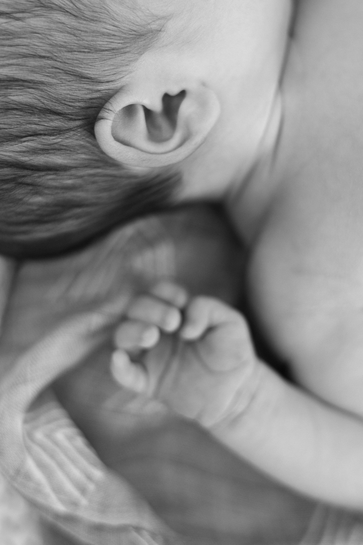 Newborn photography session in Crested Butte, Colorado