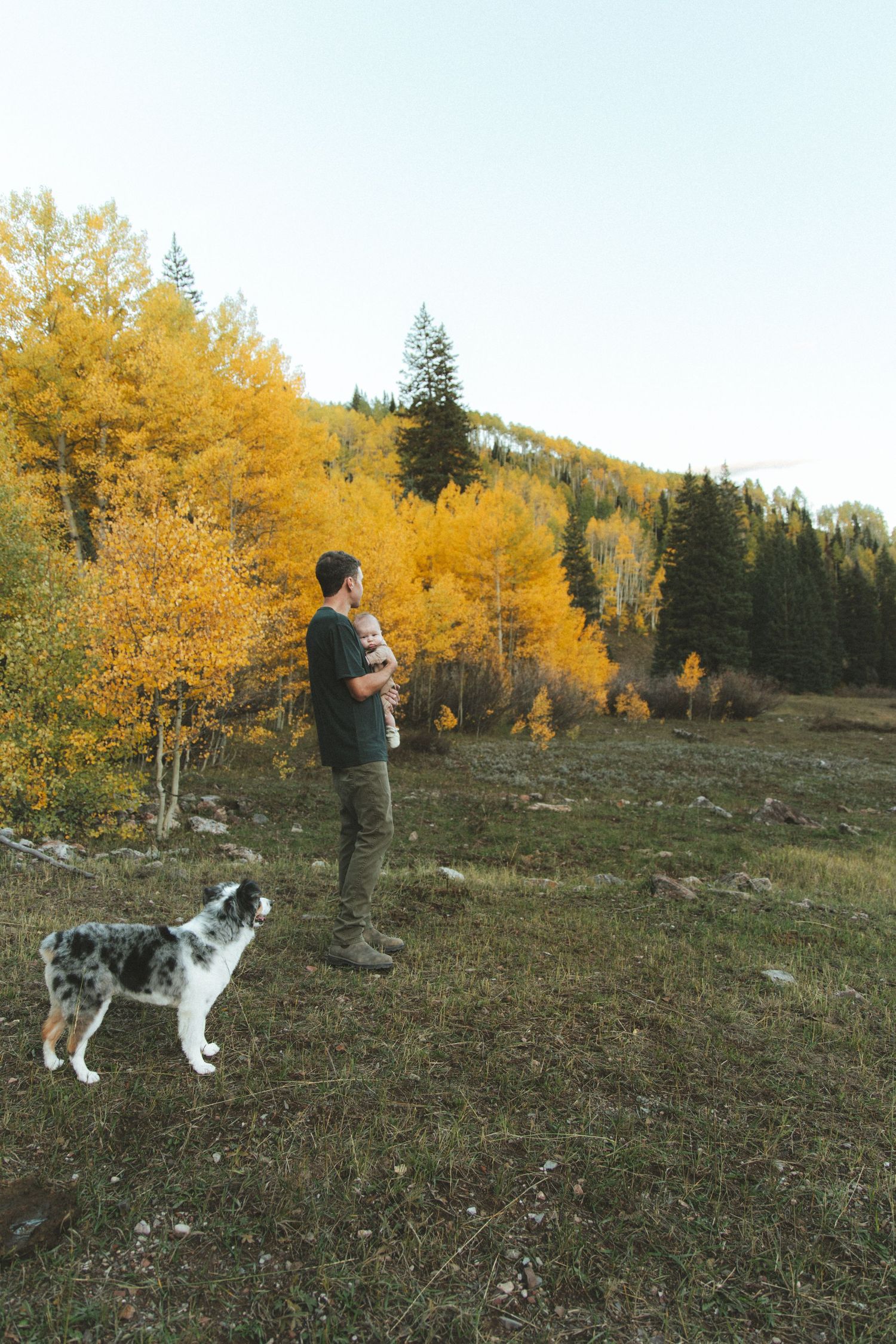Man holding baby with dog beside him in autumn mountain meadow surrounded by golden aspen trees.