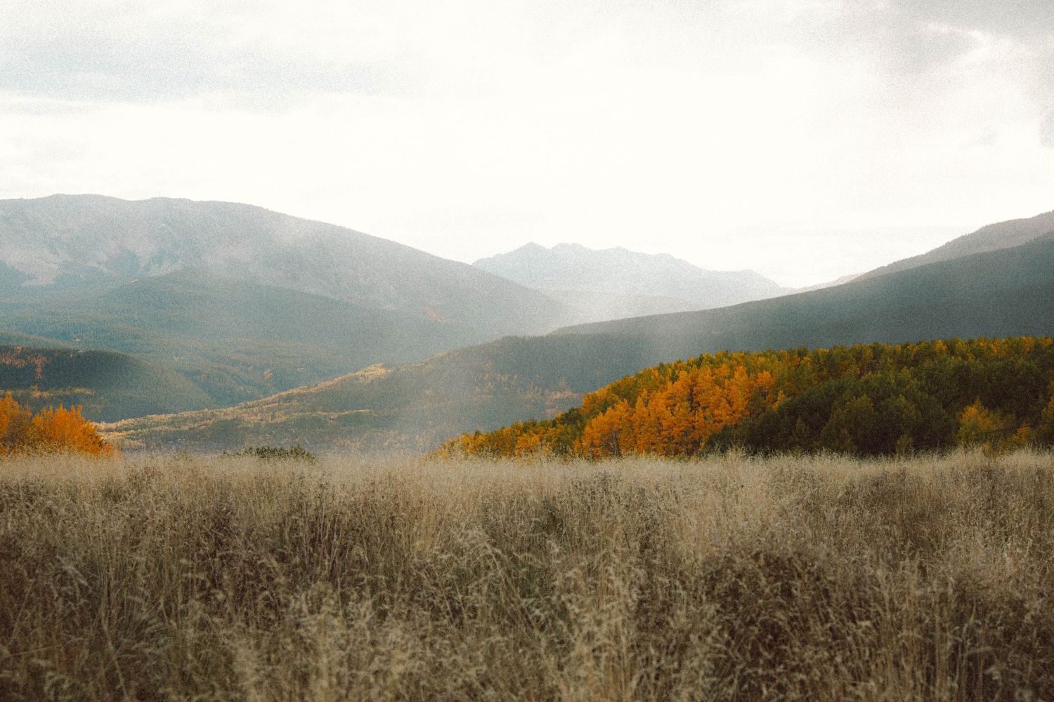 A panoramic mountain landscape view with autumn foliage and misty rolling hills stretching into the distance.