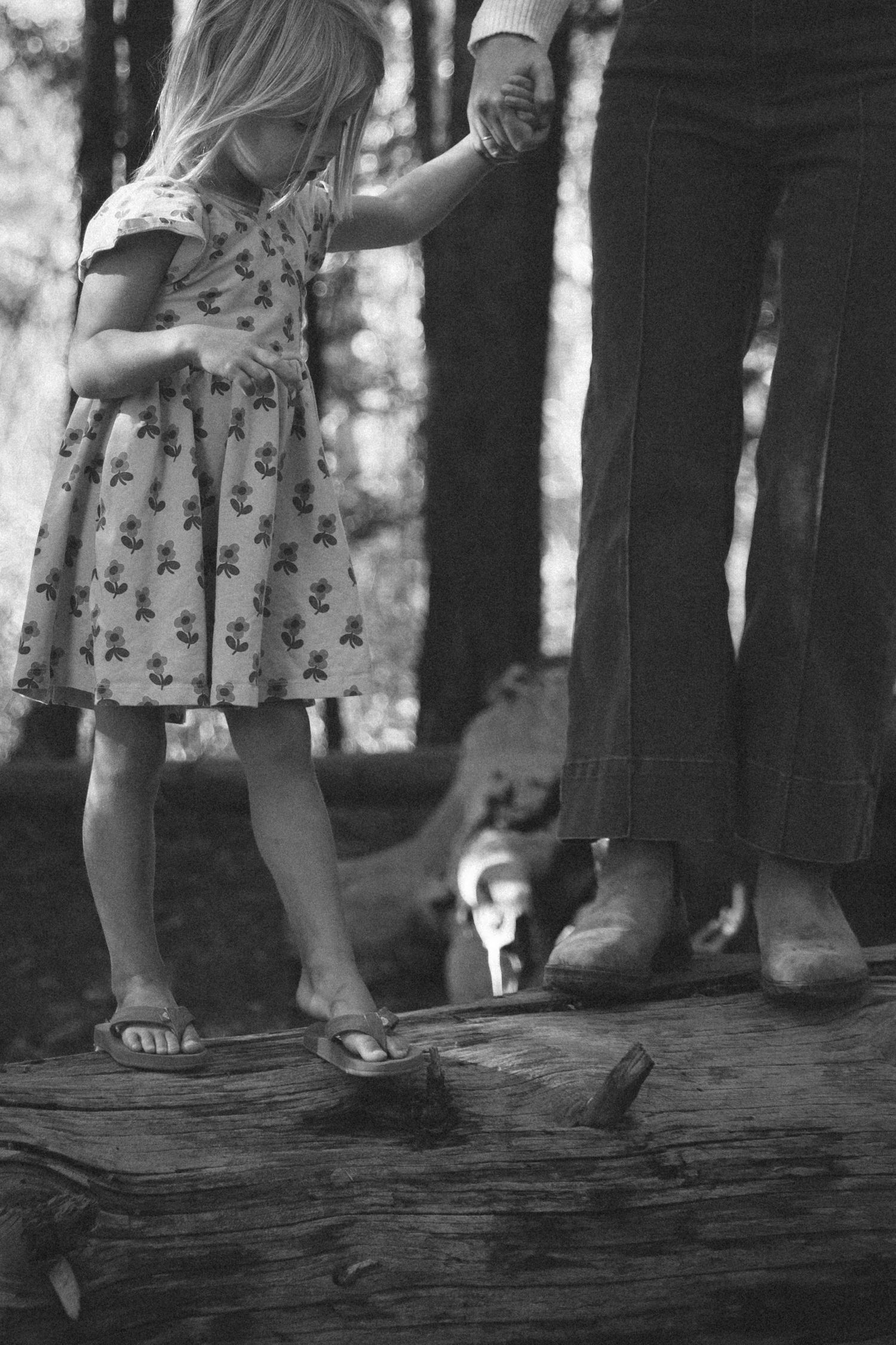Black and white photo of a young girl in a floral dress holding an adult's hand while balancing on a log in the woods.