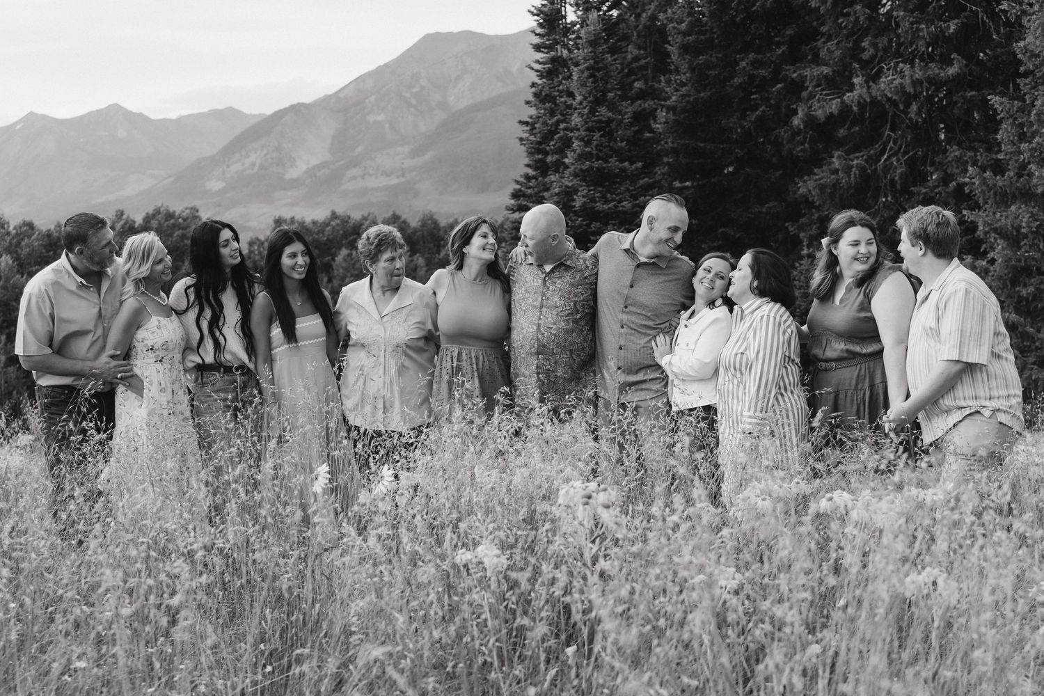 Summer photography Crested Butte, Colorado extended family, mountains, aspens, wildflowers