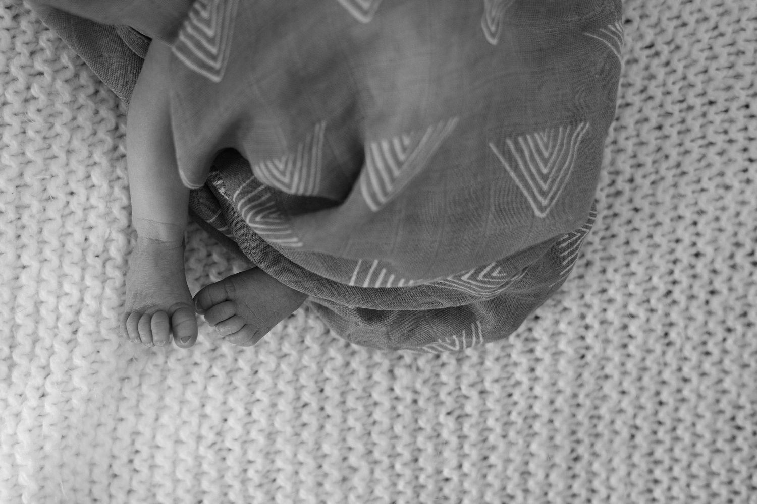 Newborn photography session in Crested Butte, Colorado
