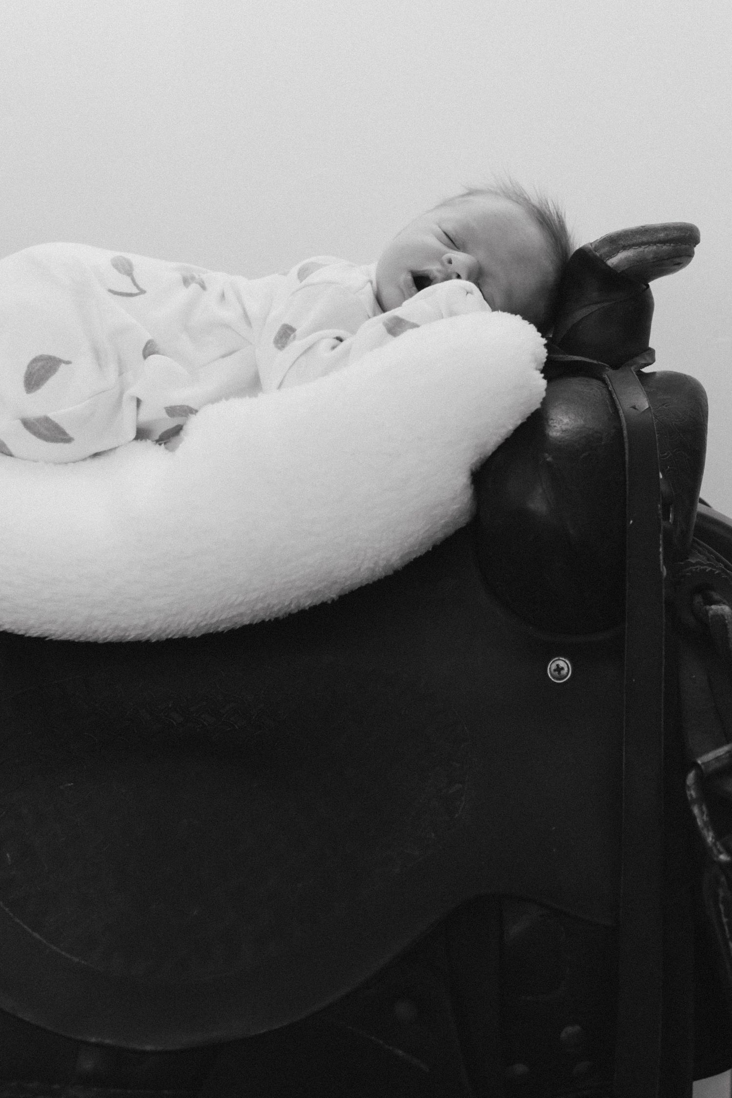 Black and white image of a baby resting on a horse saddle.