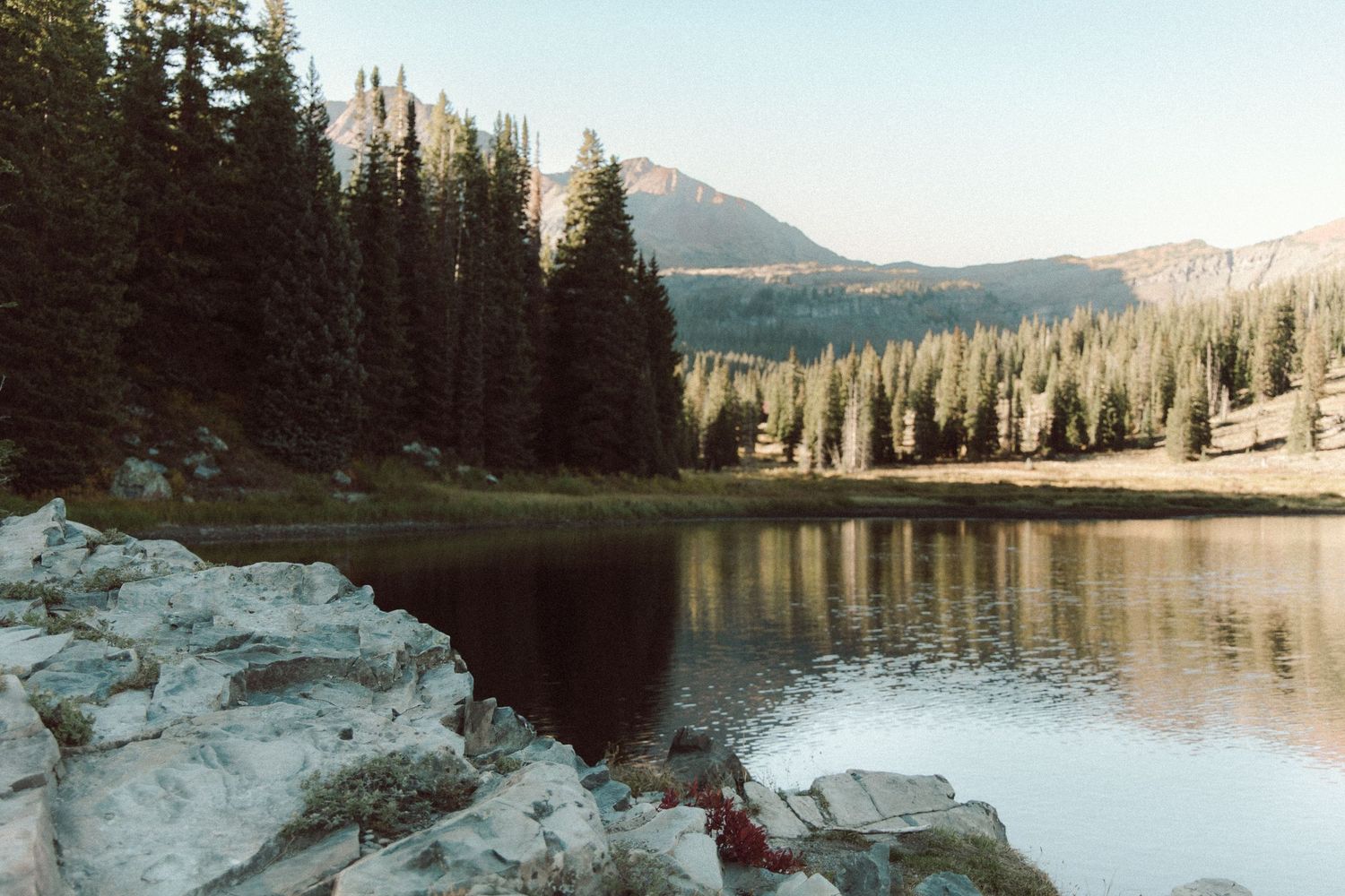 Serene alpine lake reflecting pine trees and mountain peaks, with rocky shoreline in a wilderness landscape.