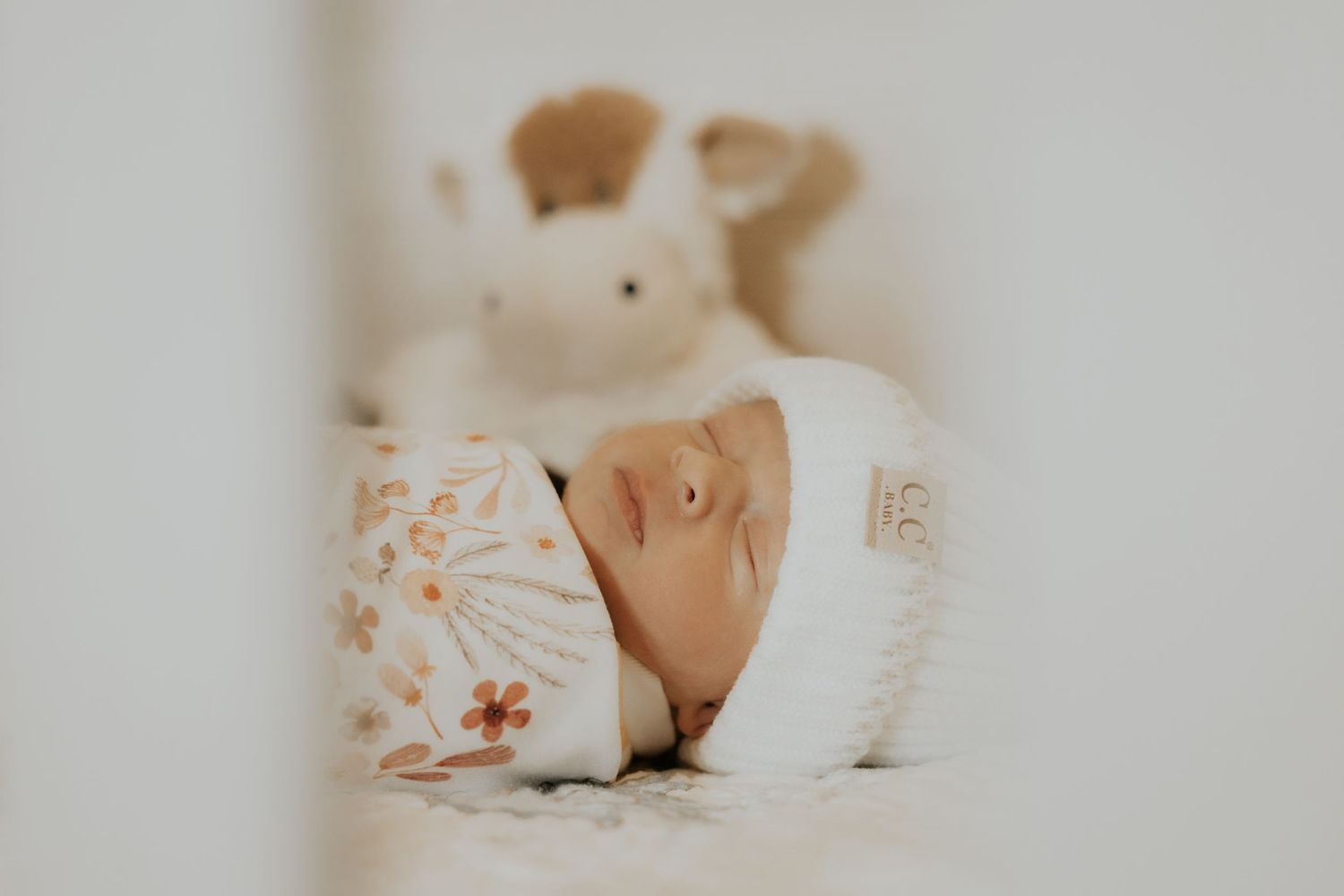 Newborn photography session in Crested Butte, Colorado