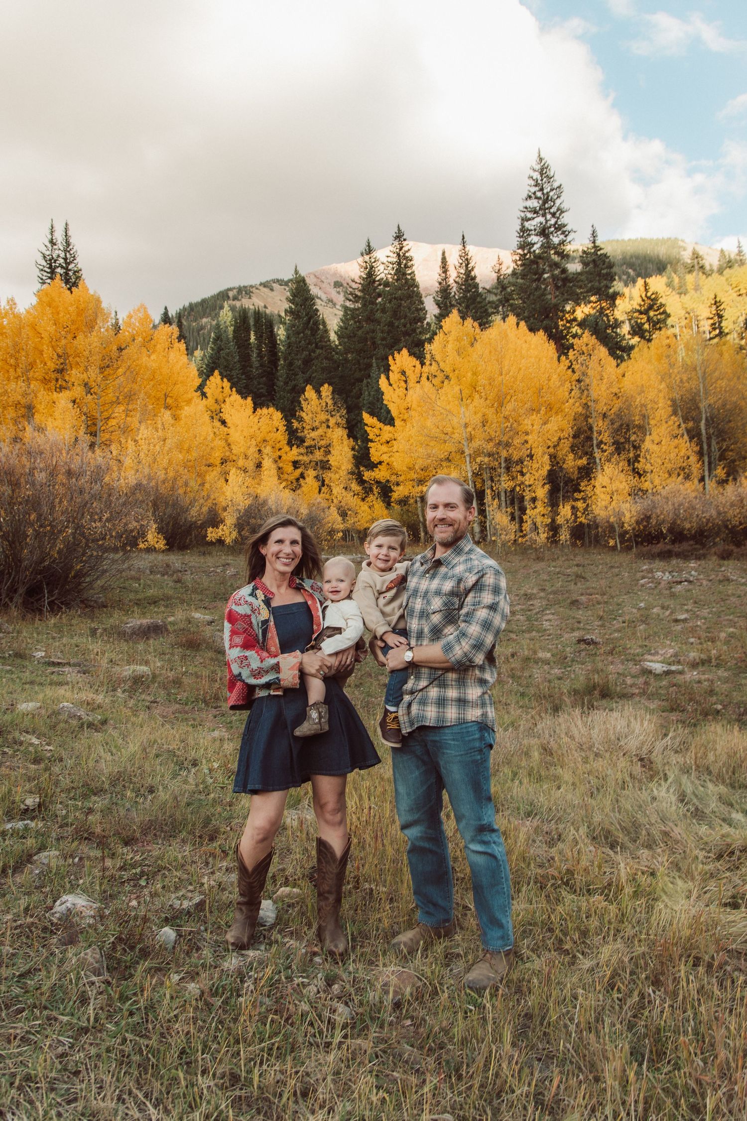 Scenic autumn landscape with golden aspen trees and evergreens in a mountain meadow during fall season.
