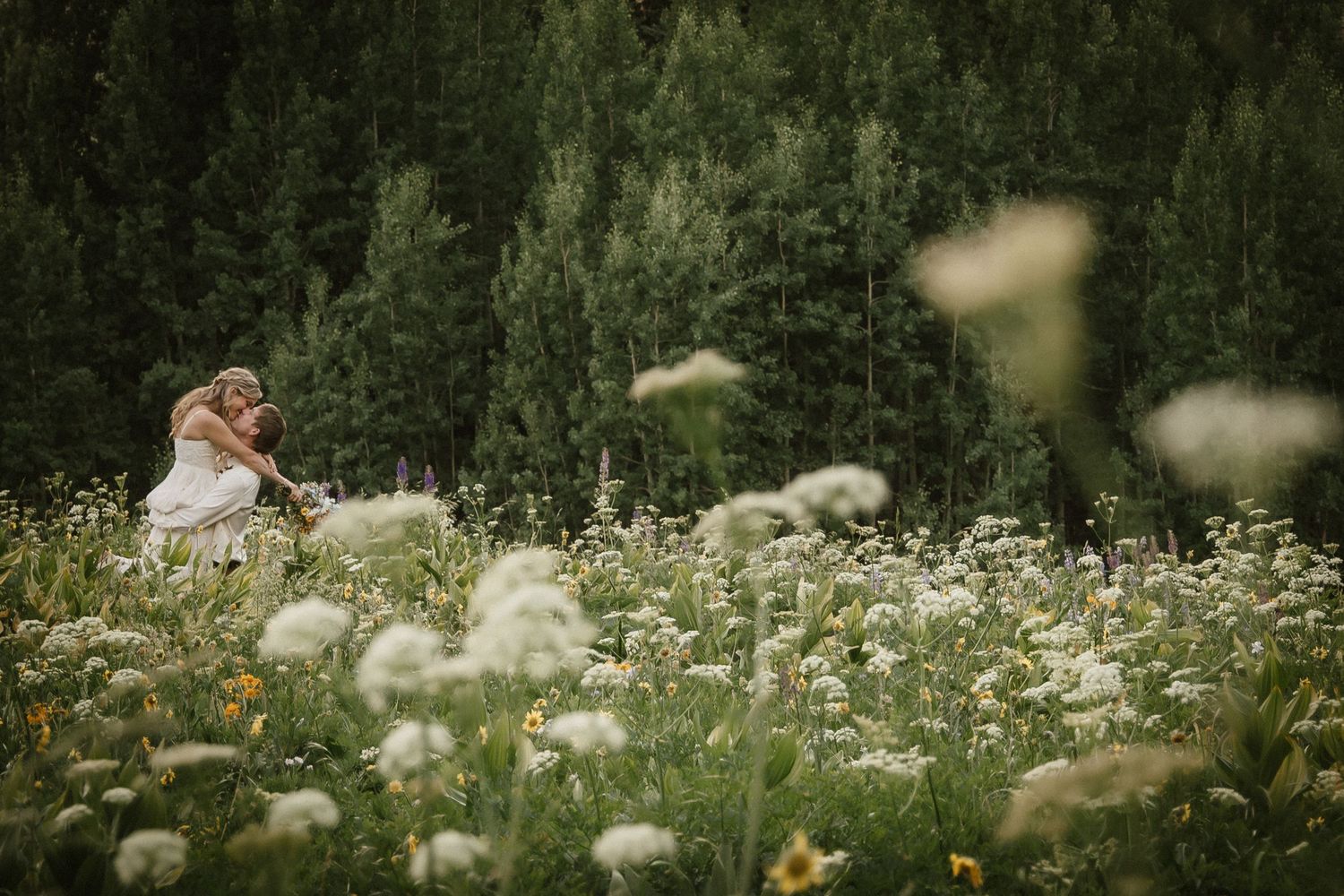 A romantic scene in a meadow filled with white wildflowers and evergreen trees.