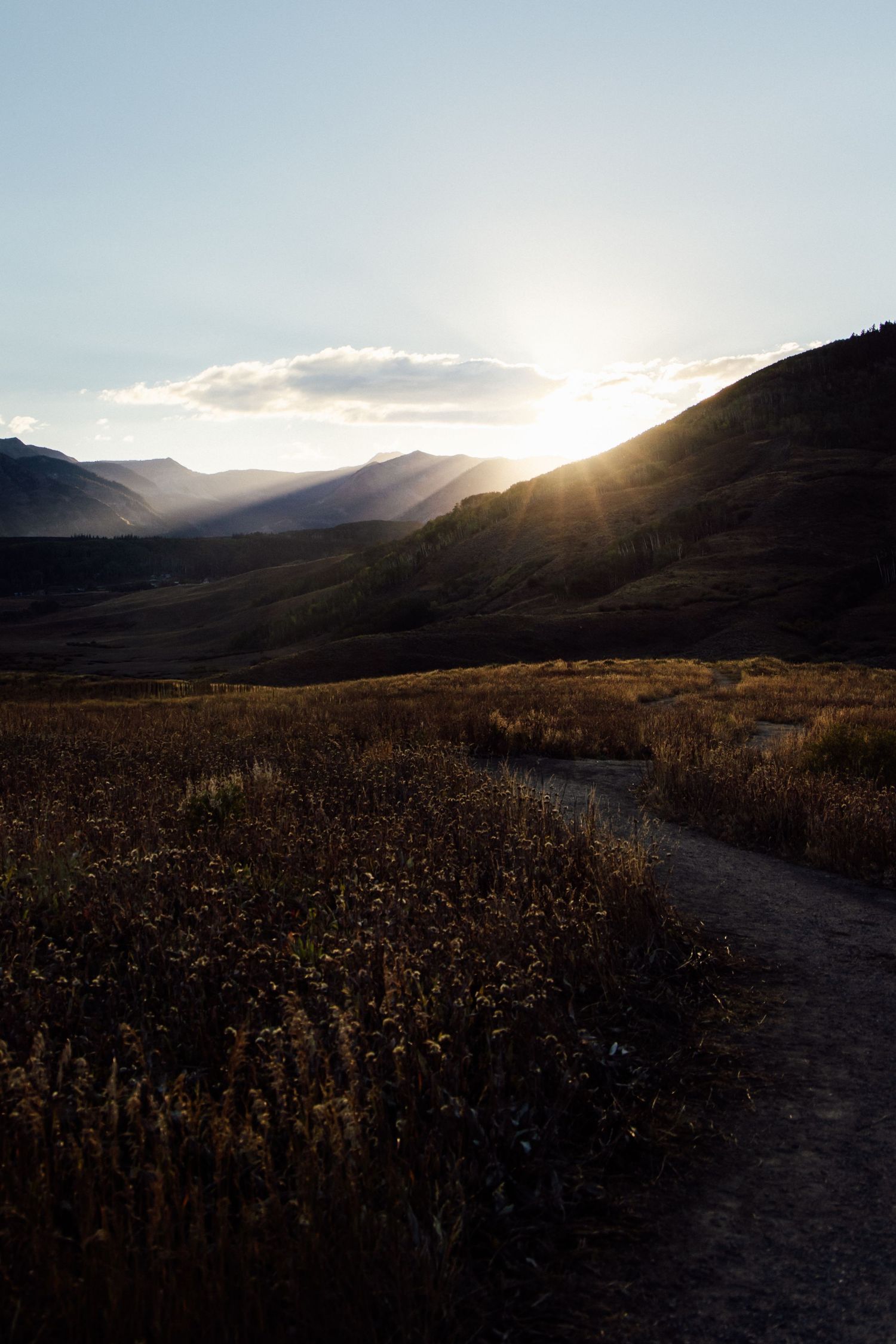 A winding trail leads through golden meadows toward sun-drenched mountain peaks at sunset in a scenic valley landscape.